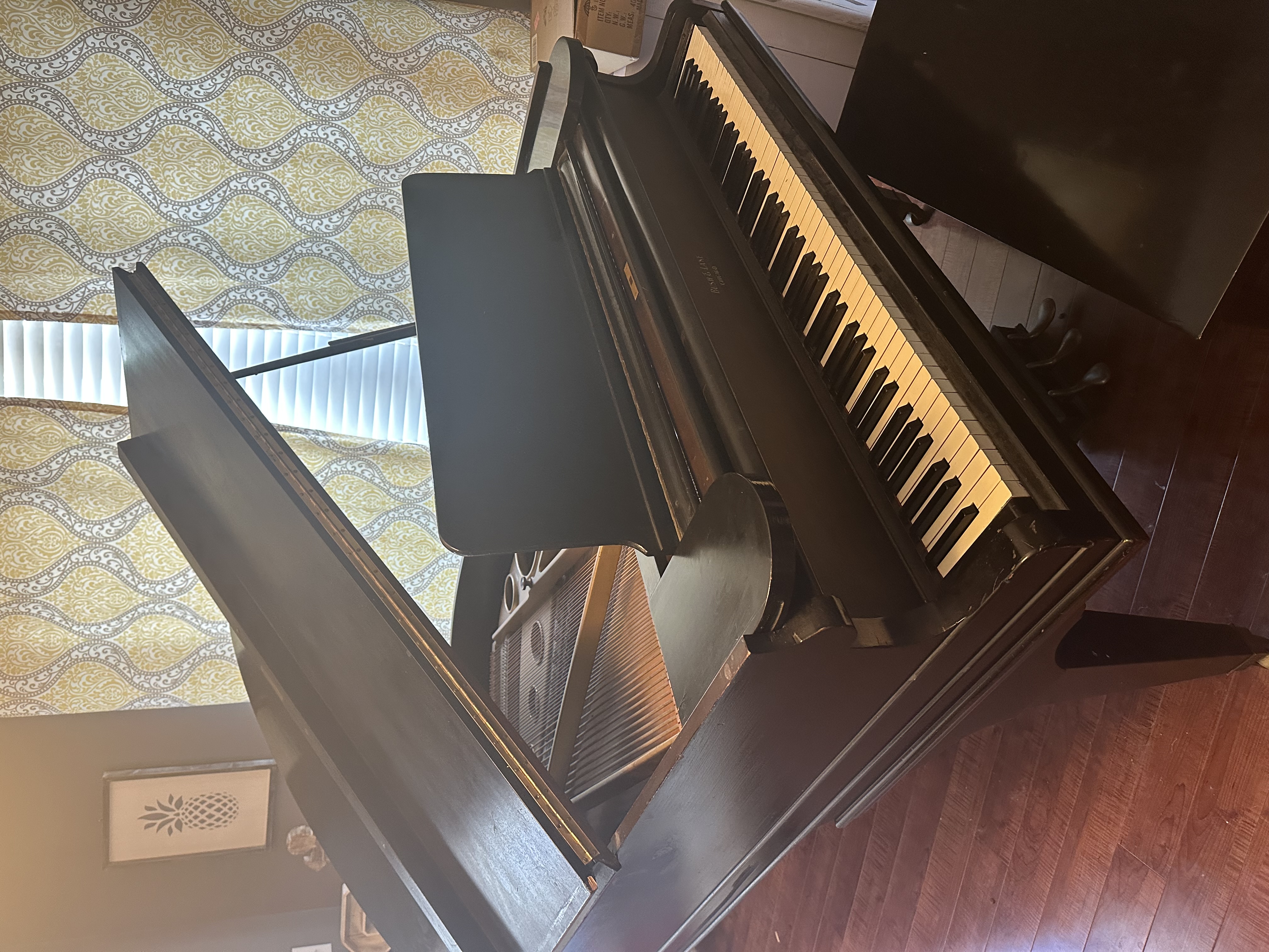 1917 Bush & Lane 6' Parlor Grand Piano – Exceptional Tone 