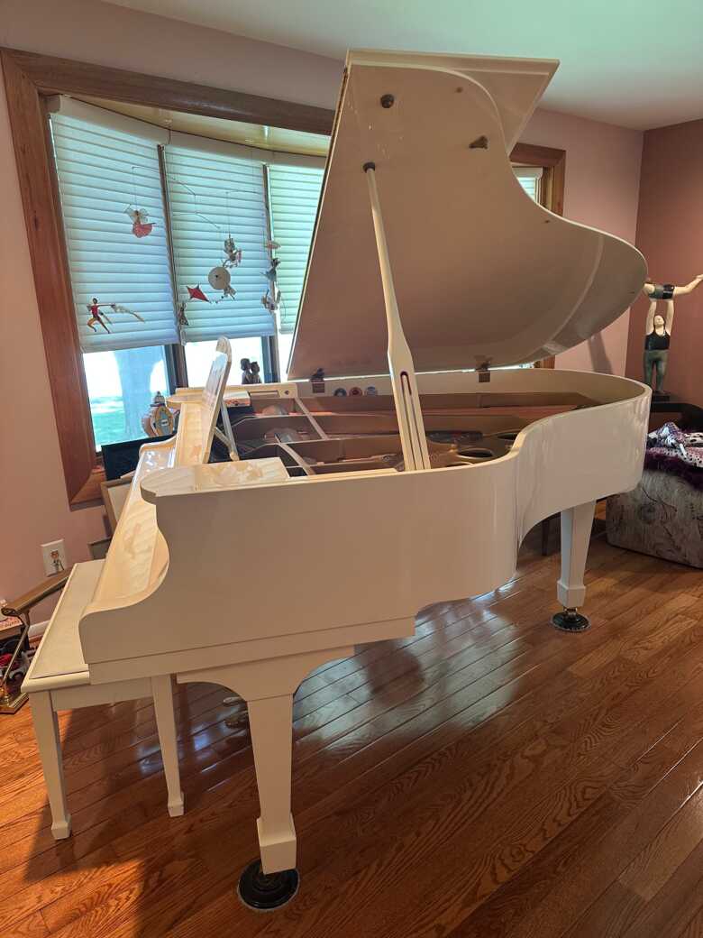 Stunning grand piano 