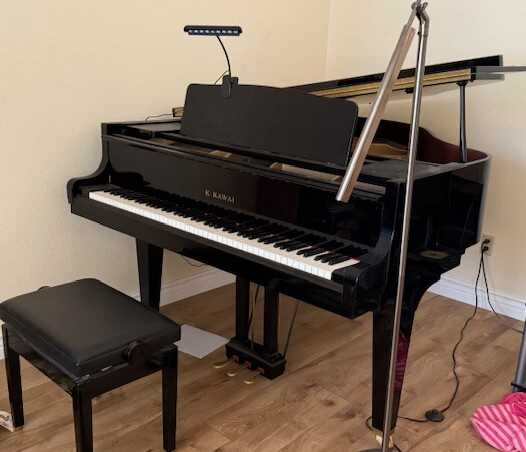 Kawai Hard-to-Find Made-in-Japan GE-30G