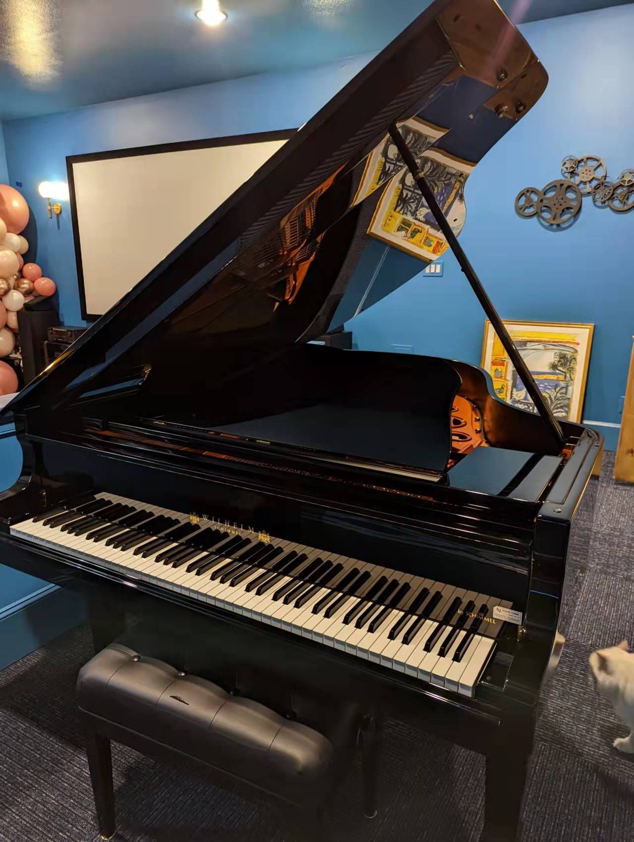 2017 Schimmel 5"10 Excellent Condition