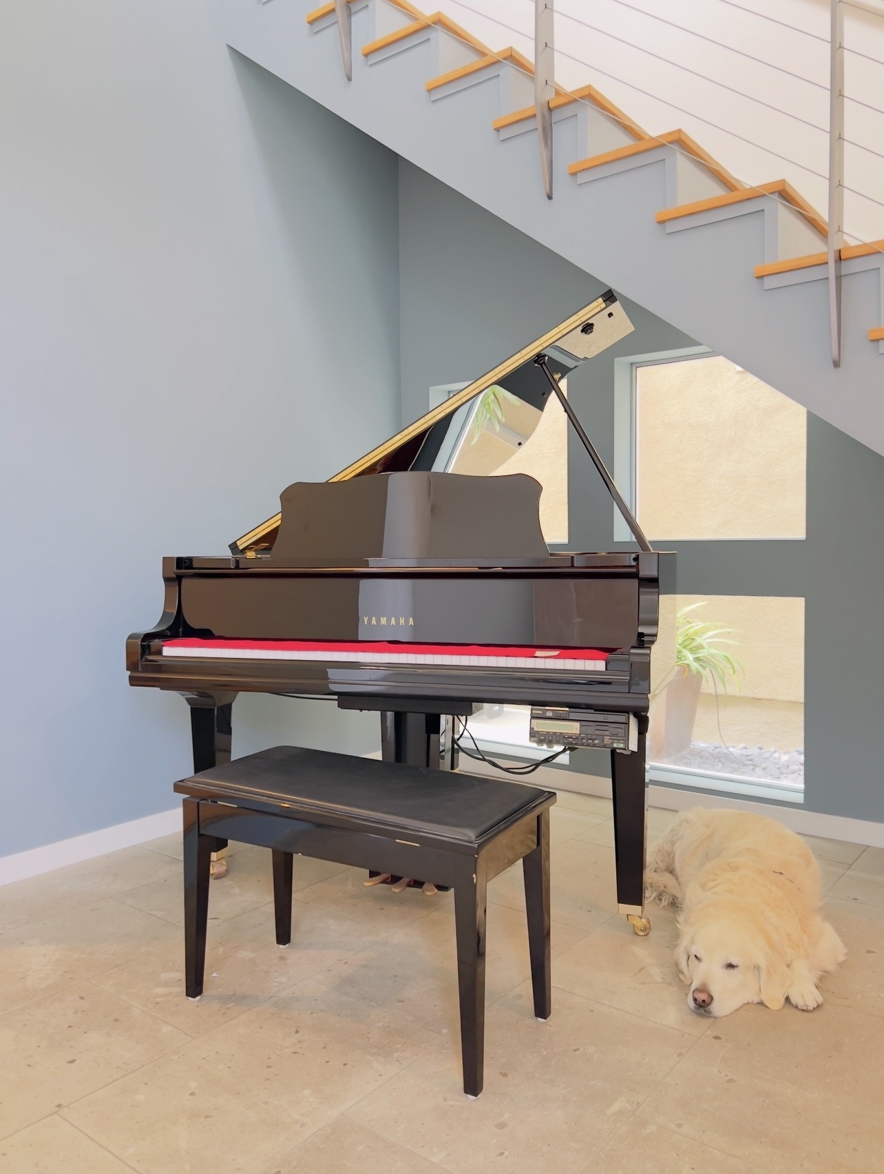 Yamaha Disklavier DGC1B Baby Grand Piano
