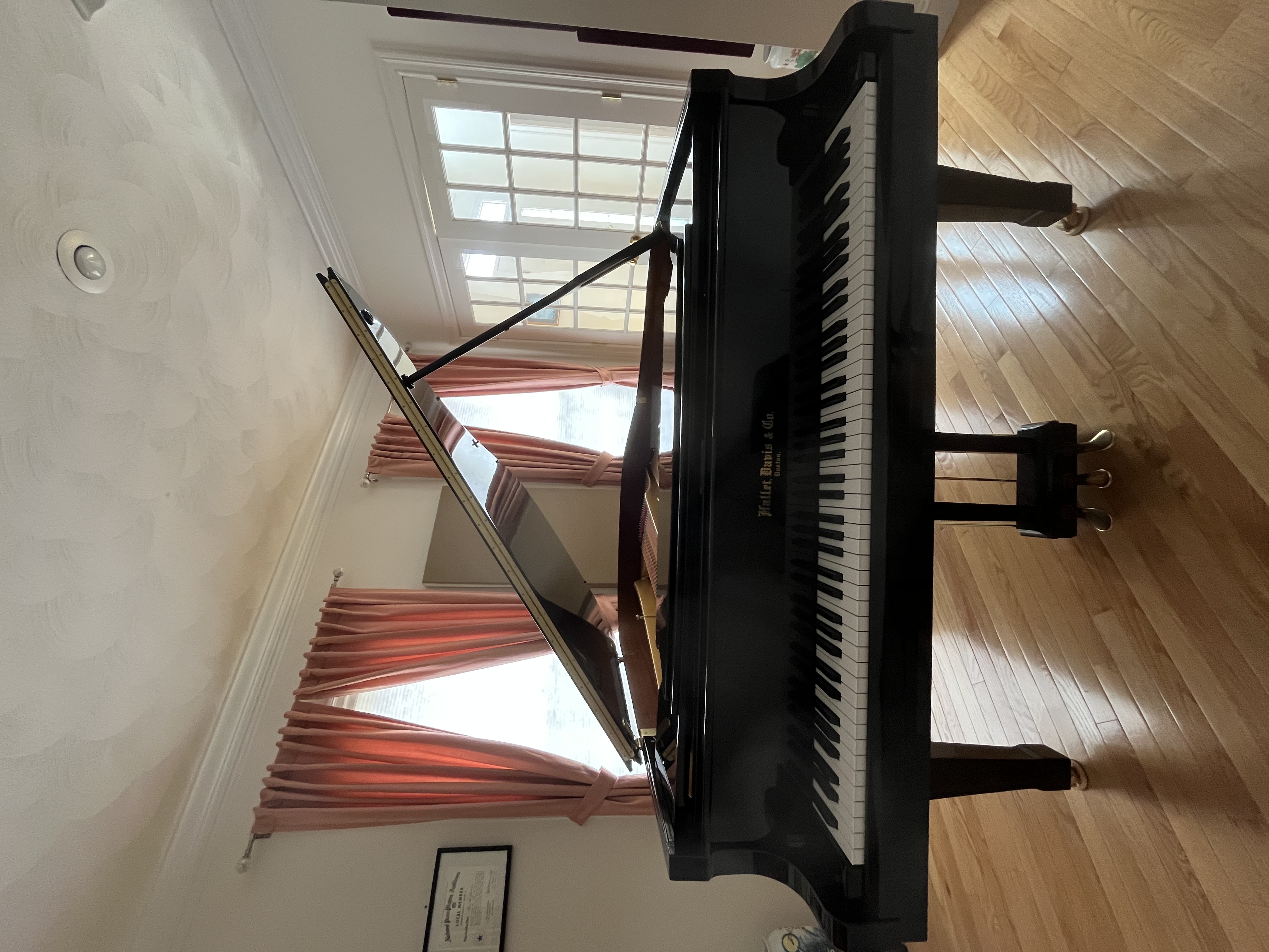Hallet, Davis & Co. 6'1" Parlor Grand Piano (Model DG185) 
