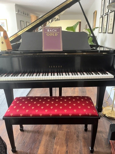 Single Owner, Rich Warm Sound  - 1980 G2J