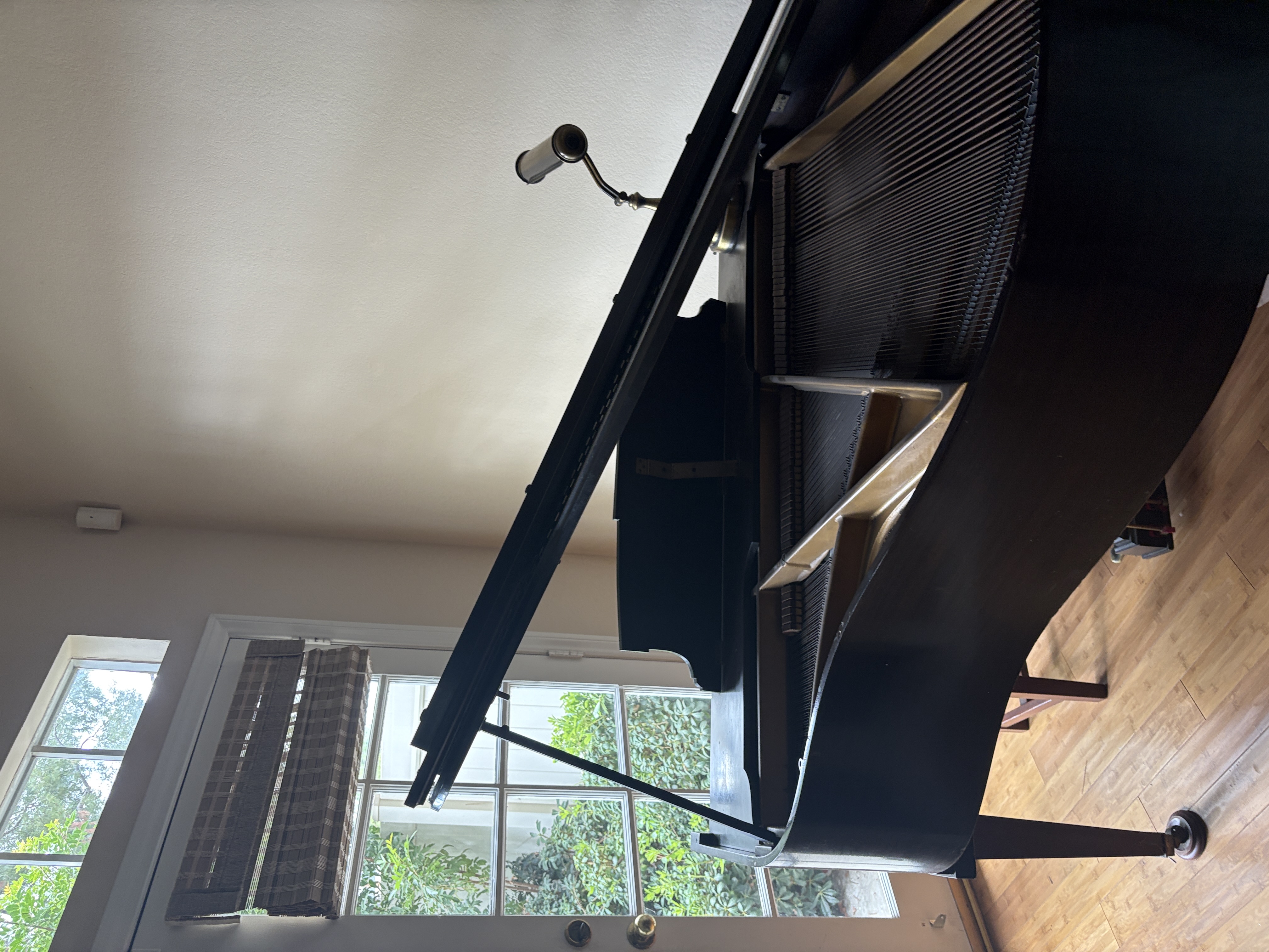 Baby Grand Piano with Bench and light 