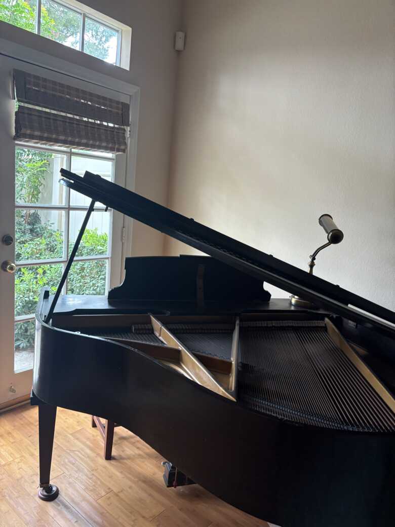Baby Grand Piano with Bench and light 