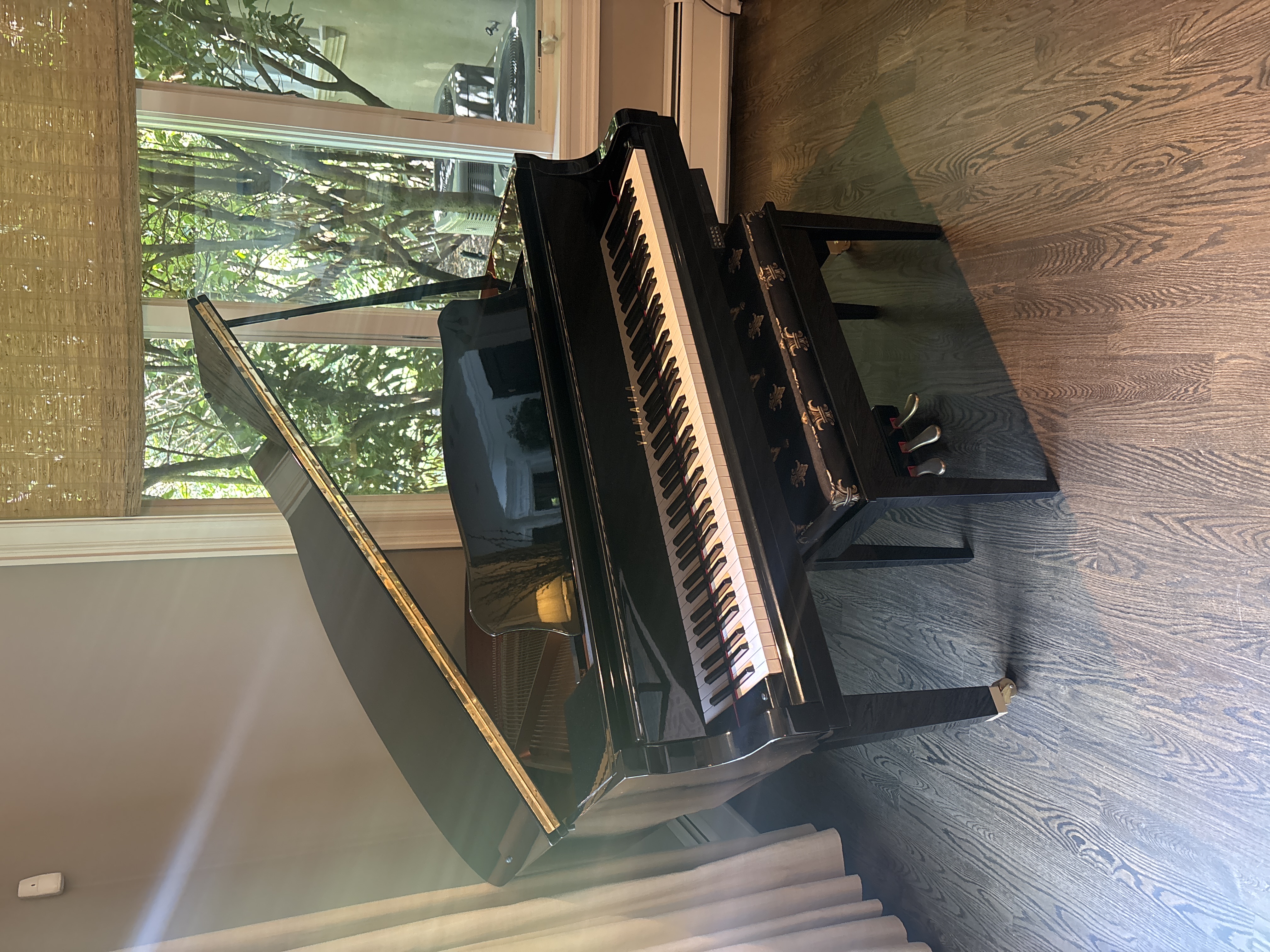 Yamaha GB1 - Rarely Used