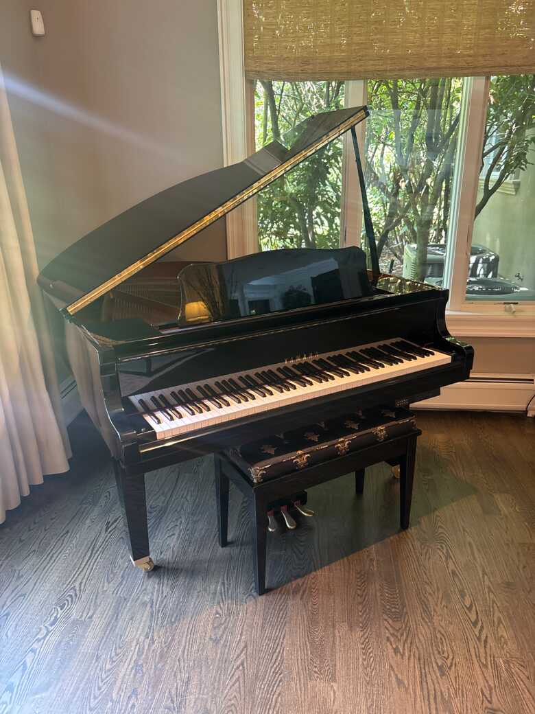 Yamaha GB1 - Rarely Used