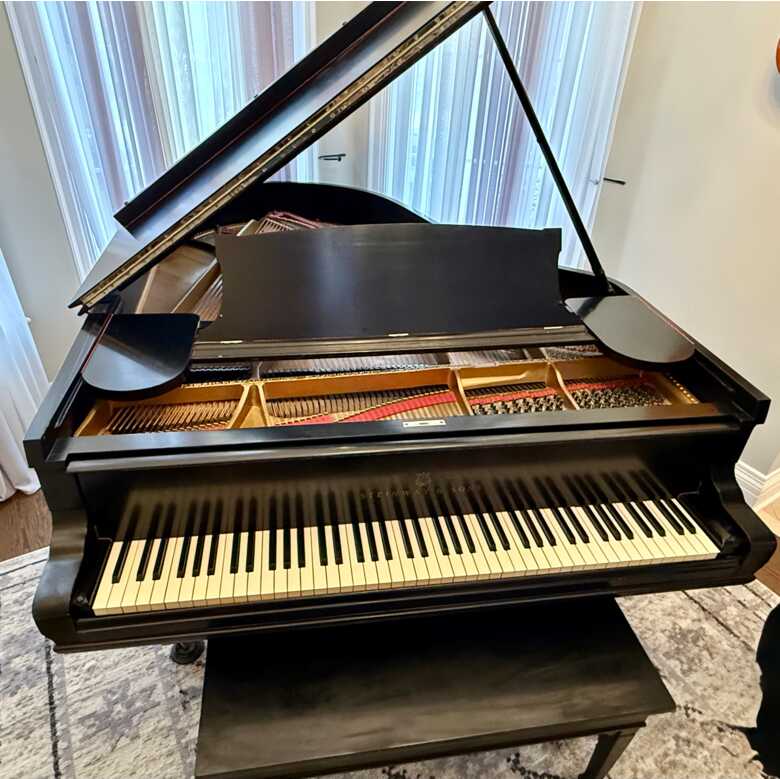 Antique Steinway & Sons Grand Piano 1876 Patent Era Family O