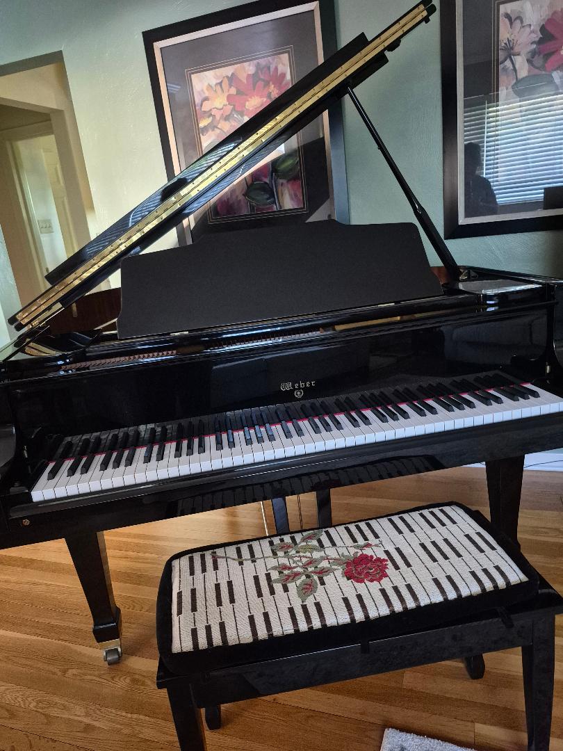 Weber Baby Grand