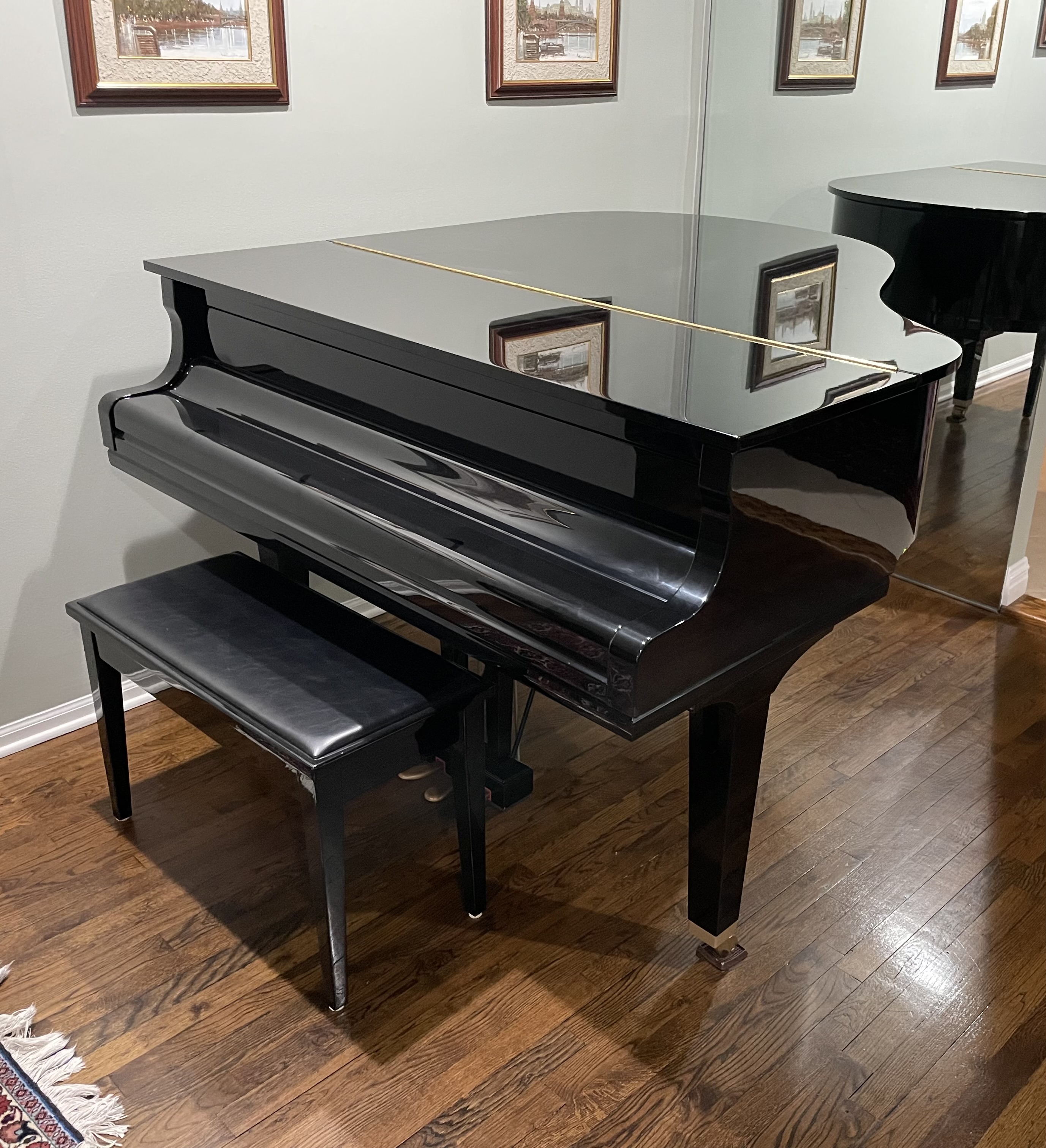 Yamaha GC1, made in Japan, Humidity Control System