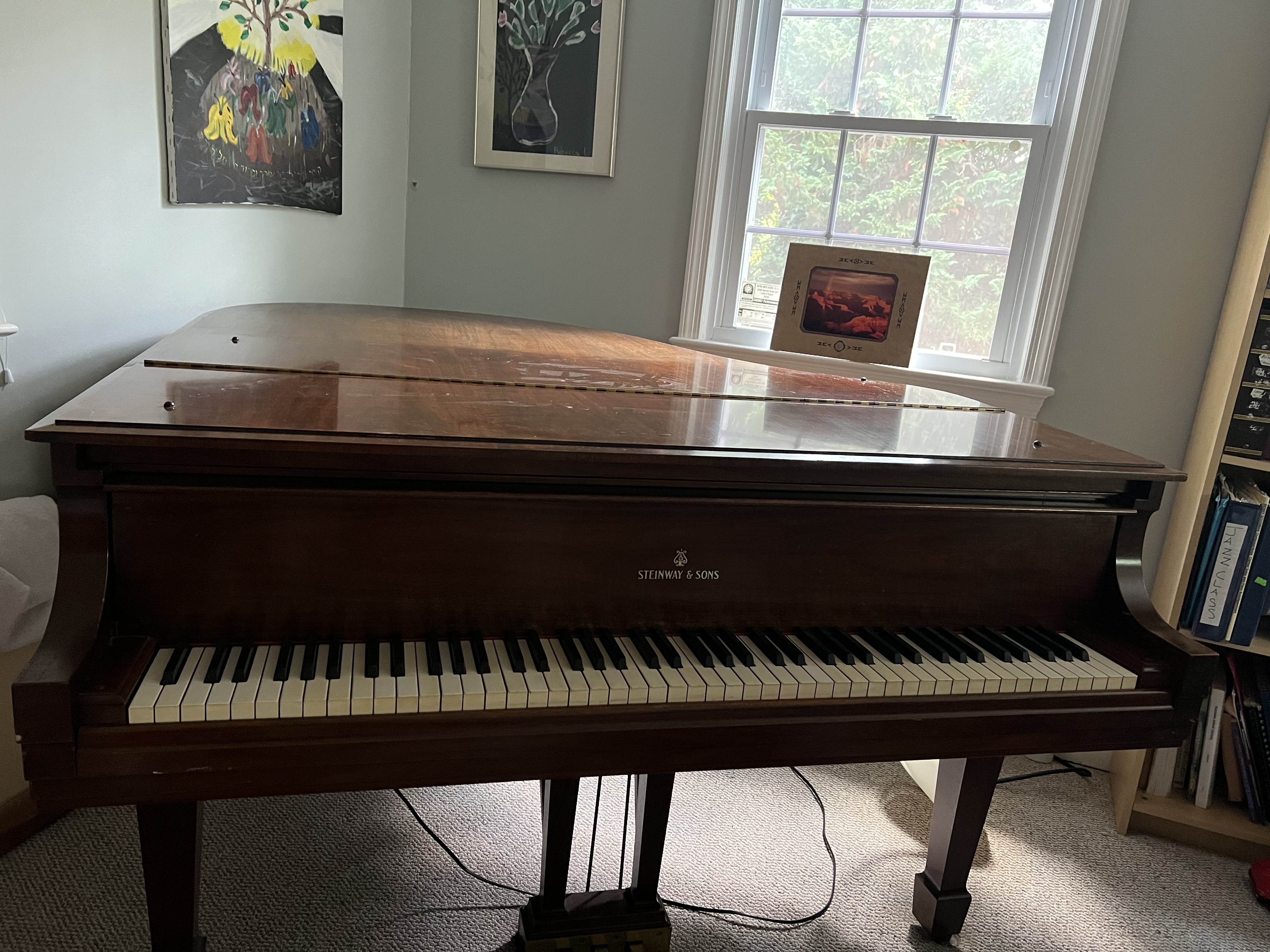 Baby grand piano for sale 