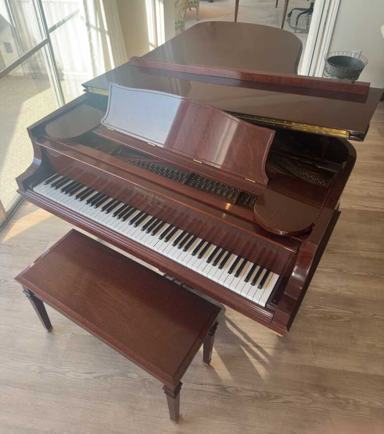 Rare Steinway Model B Tiffany – African Pommelé
