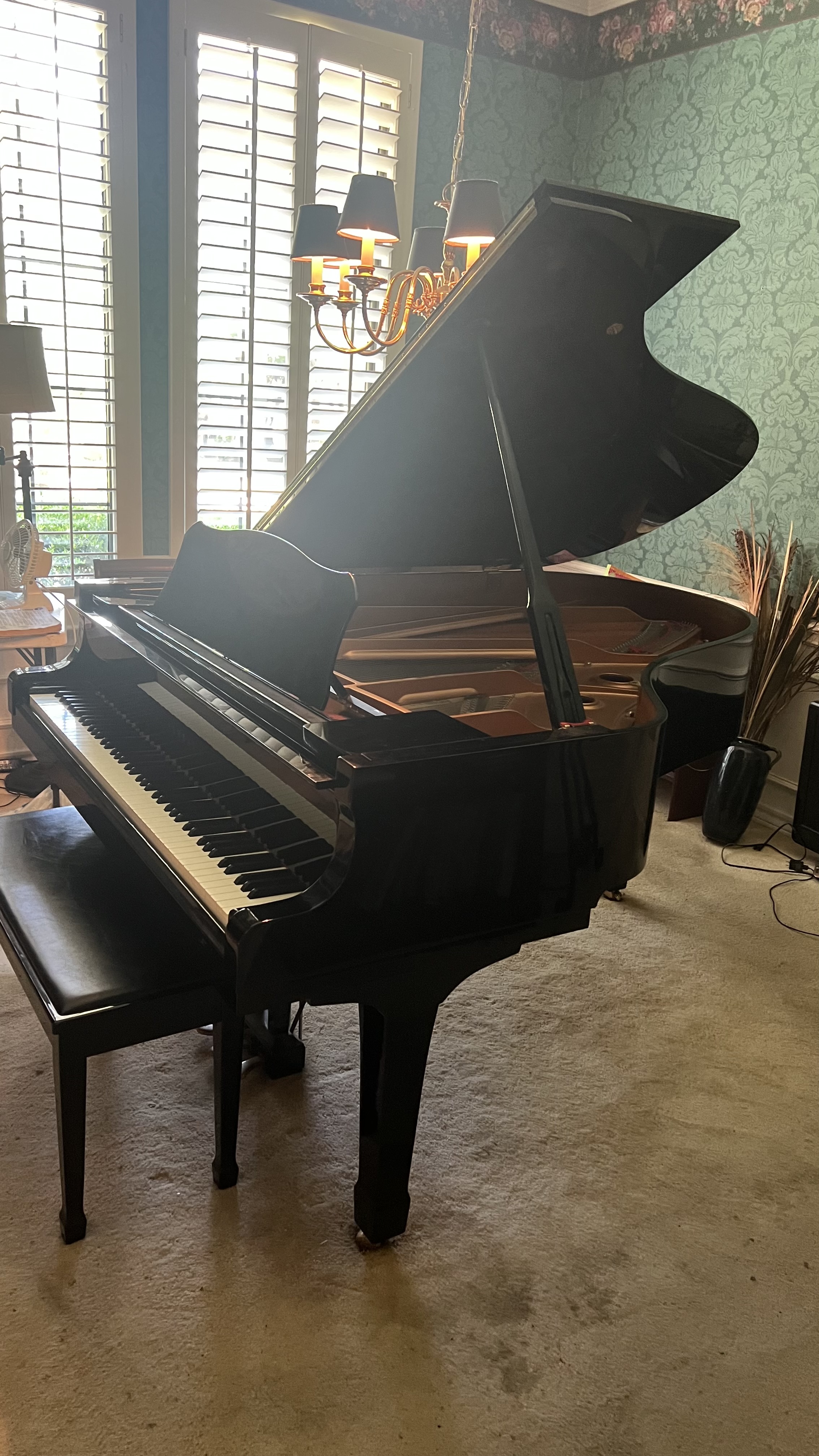 Yamaha C3 conservatory Grand Piano 6 foot made in Japan 2001
