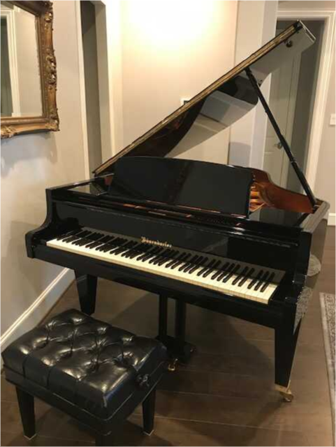 Magnificent High-End Piano at a Low-End Price