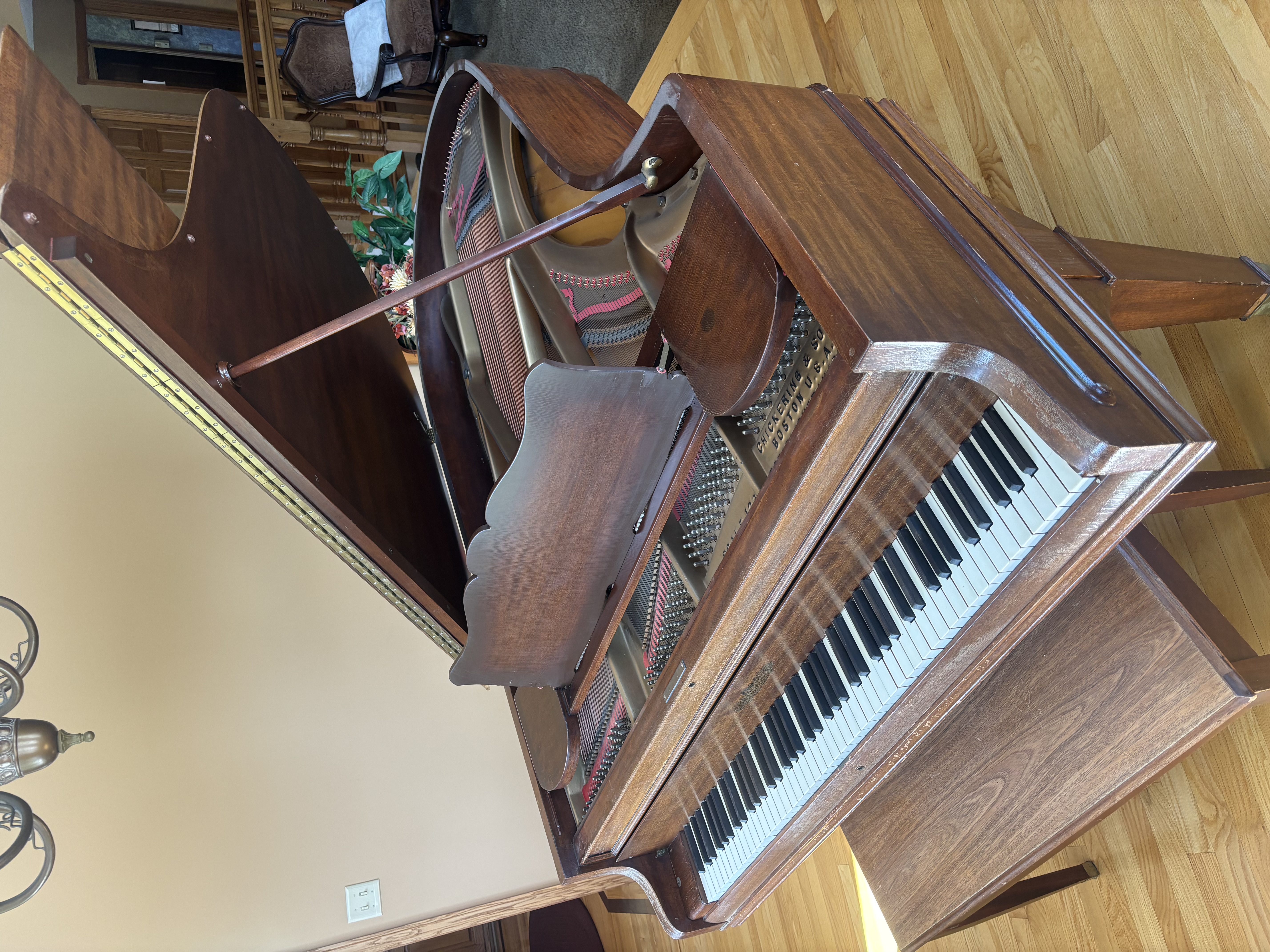 Chickering Grand Piano