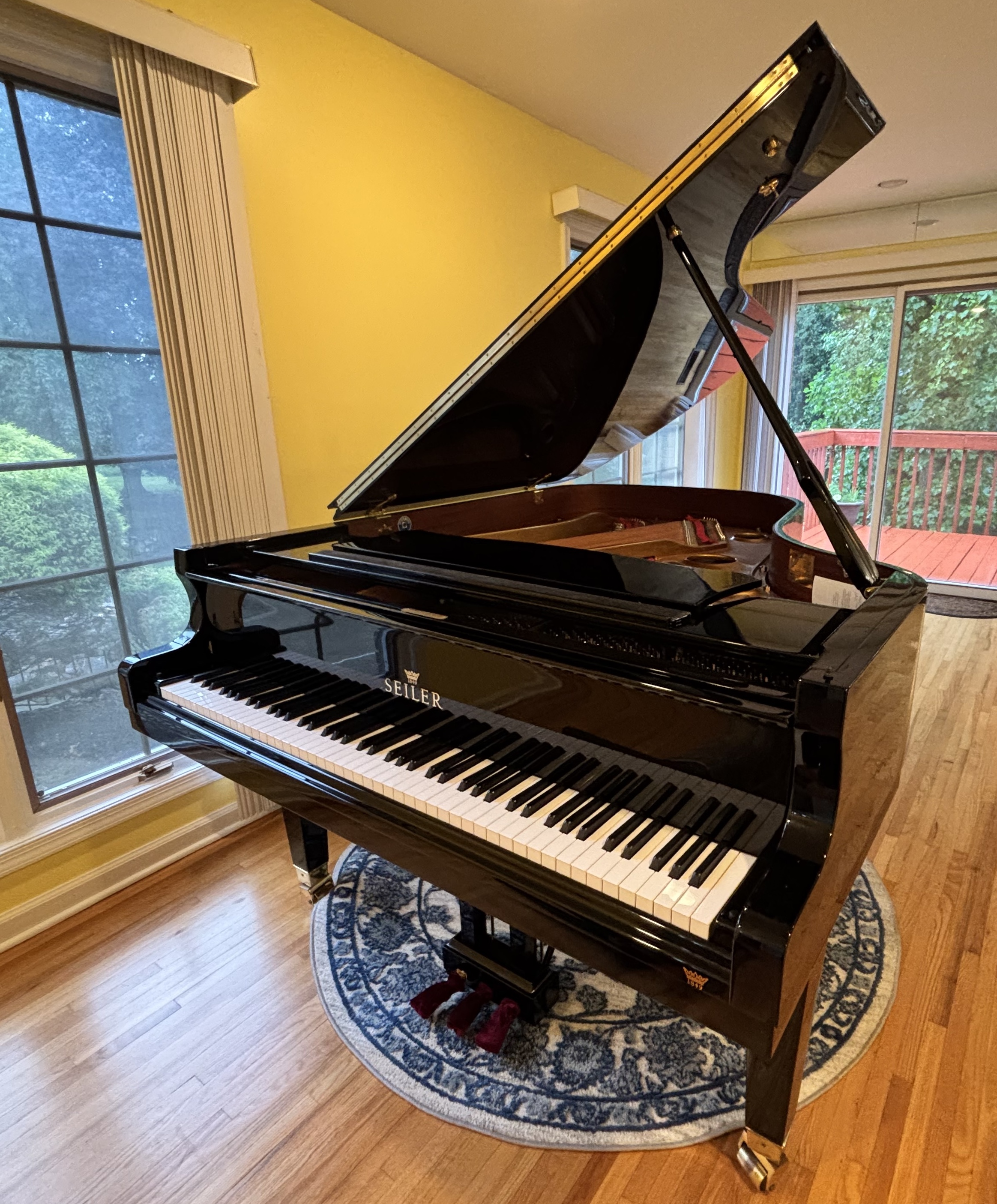 Seiler 2018 Grand Like New