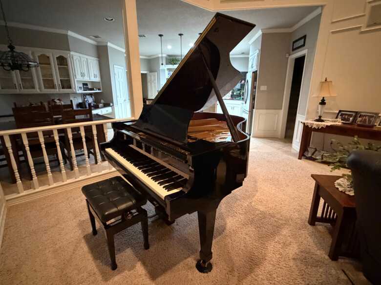 Beautiful sound, elegant, copiously maintained 
