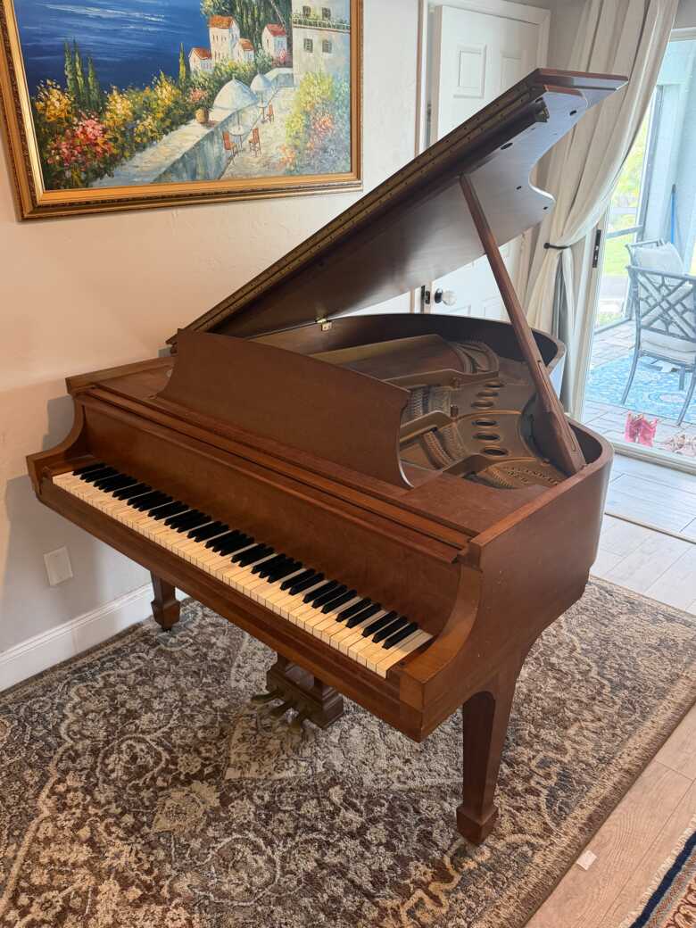 Steinway Model M Walnut 