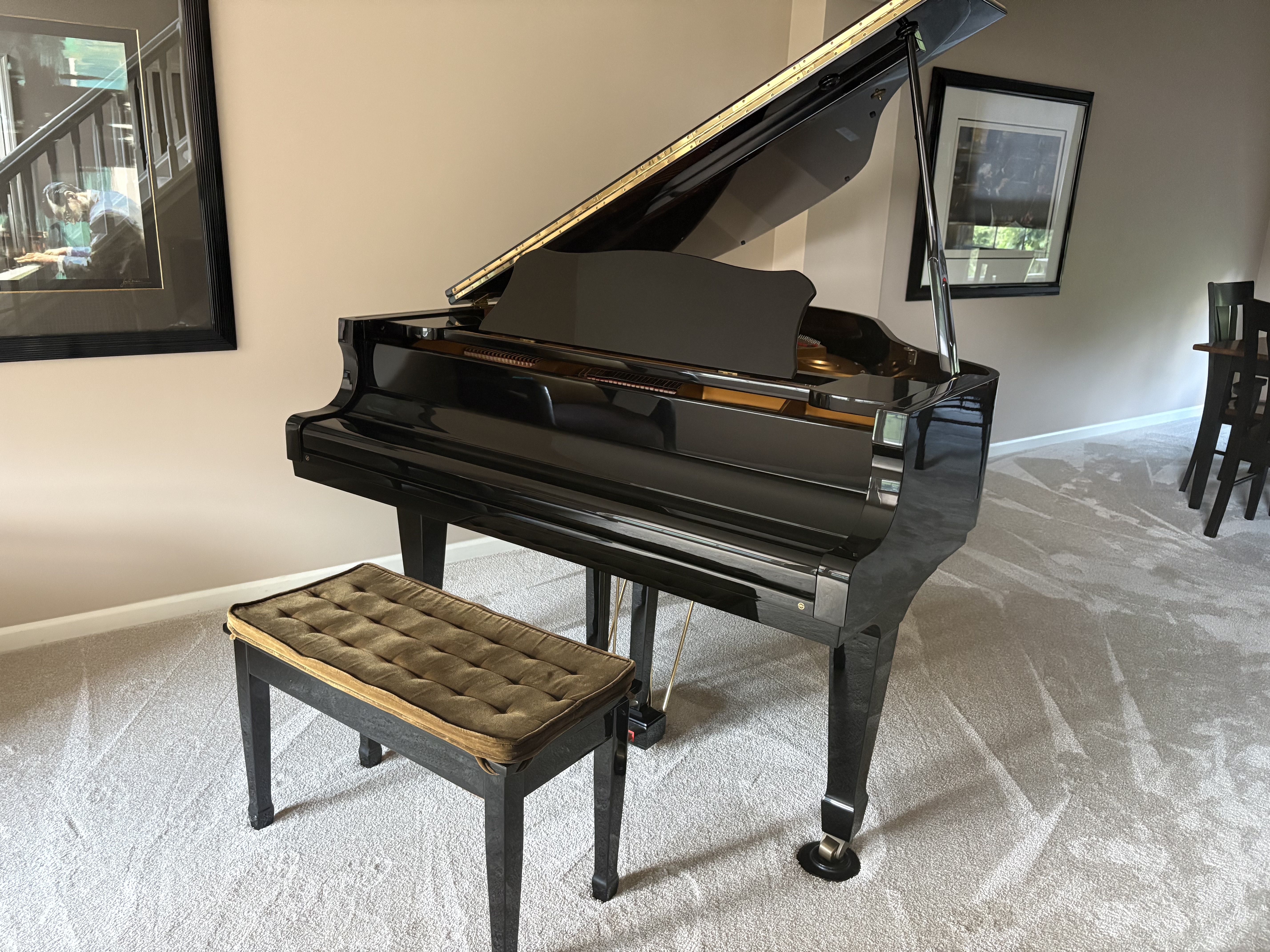 Elegant Young Chang Baby Grand 