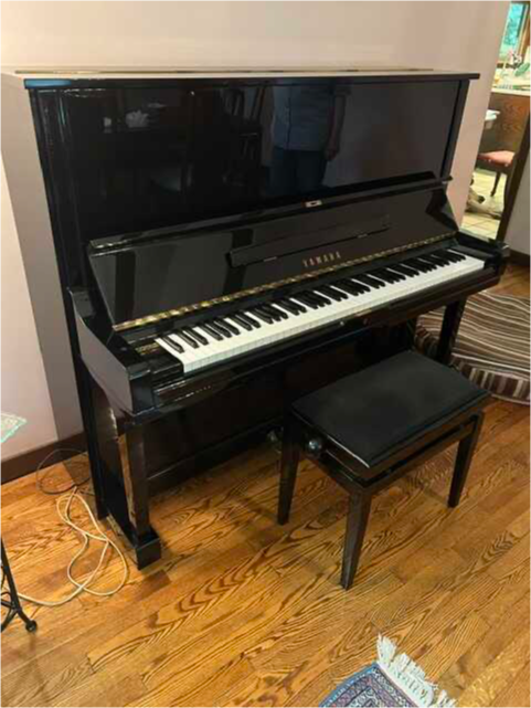 U3 Professional Upright Piano – Excellent Condition 