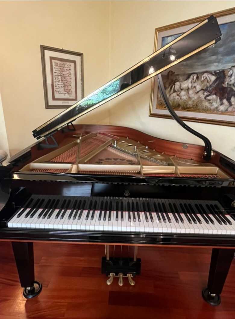 Steinway&Sons Dakota Jackson (n. 225 of 300) 