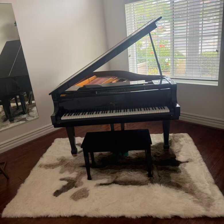 WG57 Baby Grand Piano for sale