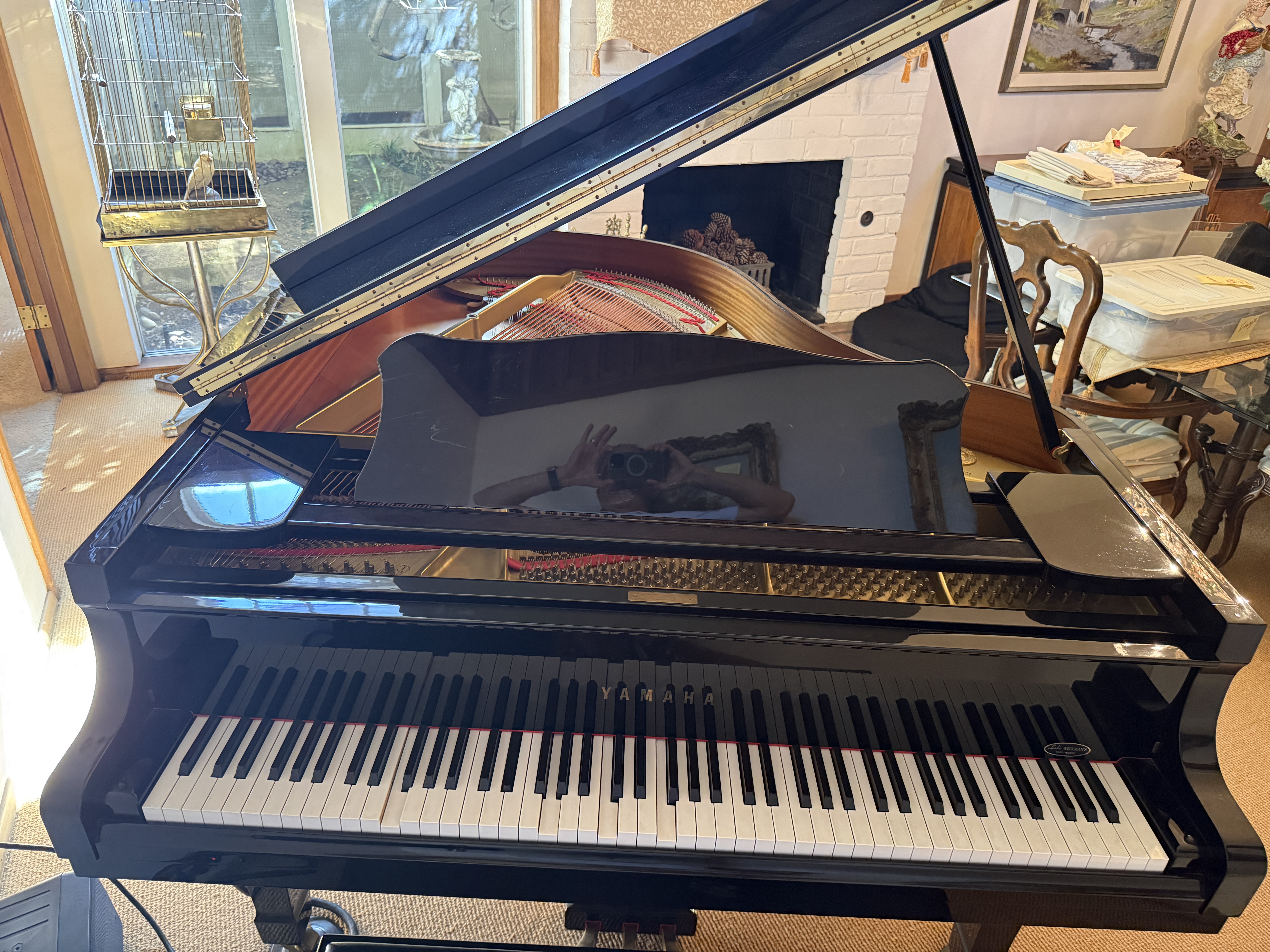 Play Yourself or Let It Play Itself-Great for Parties! 