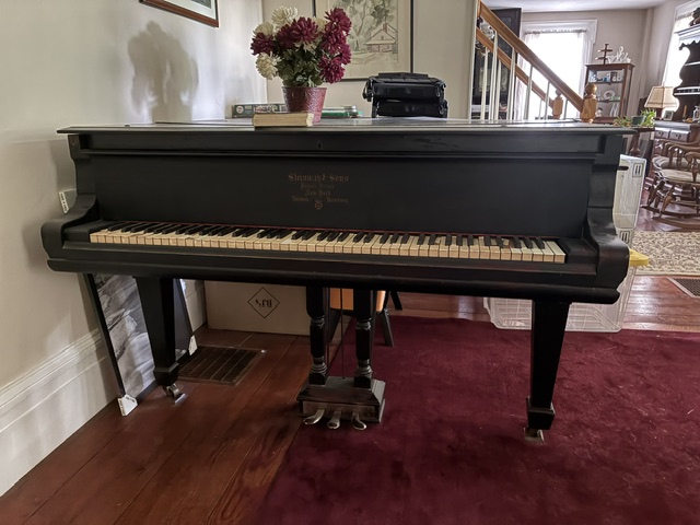 Steinway Cir 1870 ser #61862