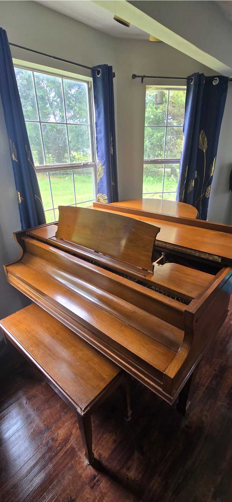Sohmer & Co Parlor Grand Piano