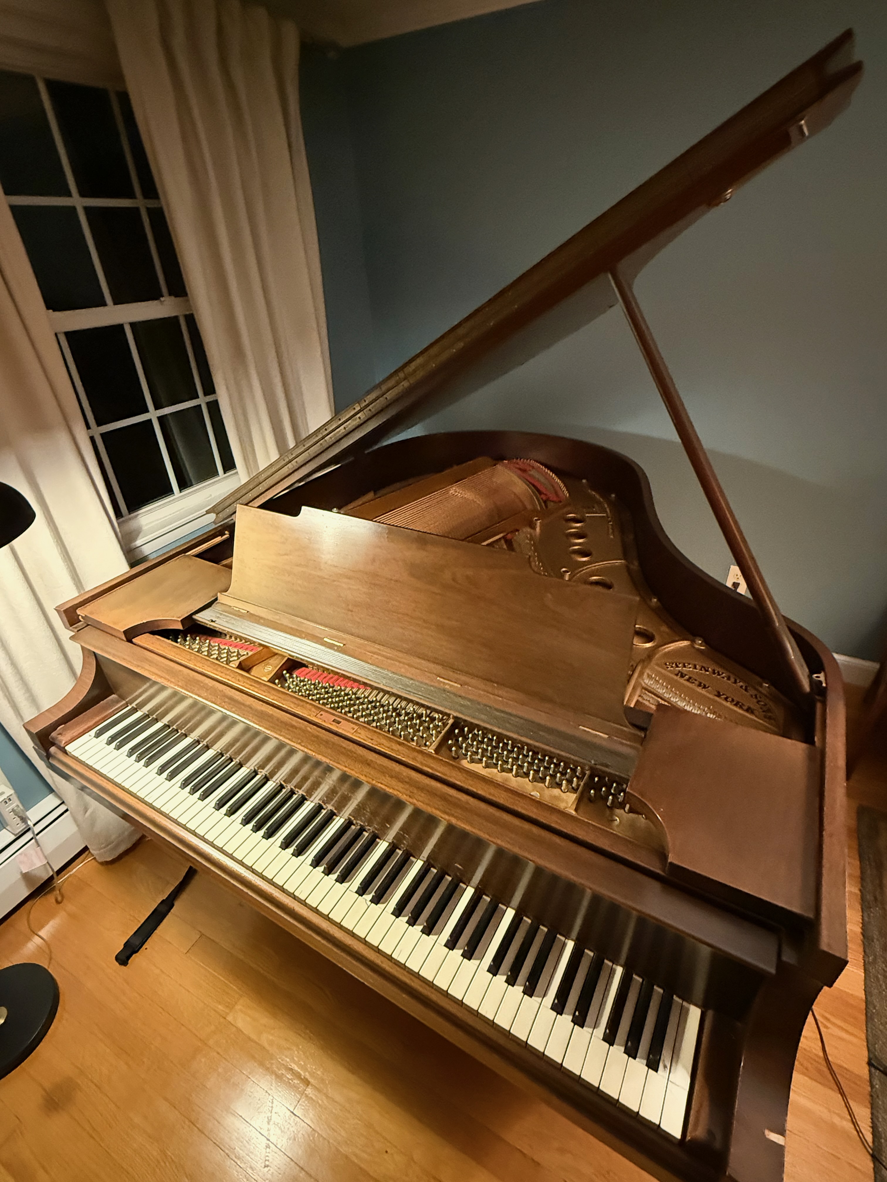 Steinway Model M Grand Piano – Professionally Rebuilt