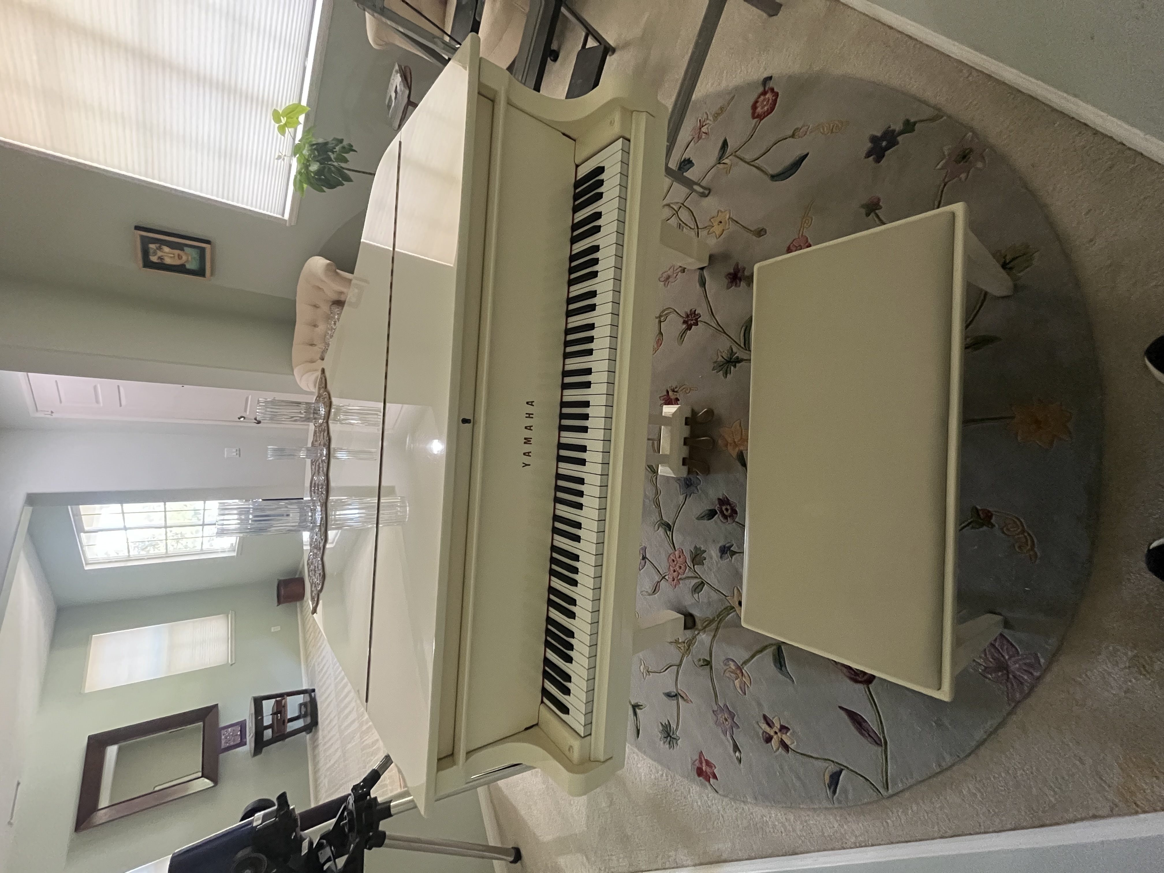 Beautiful, white, Yamaha G1 Baby Grand Piano