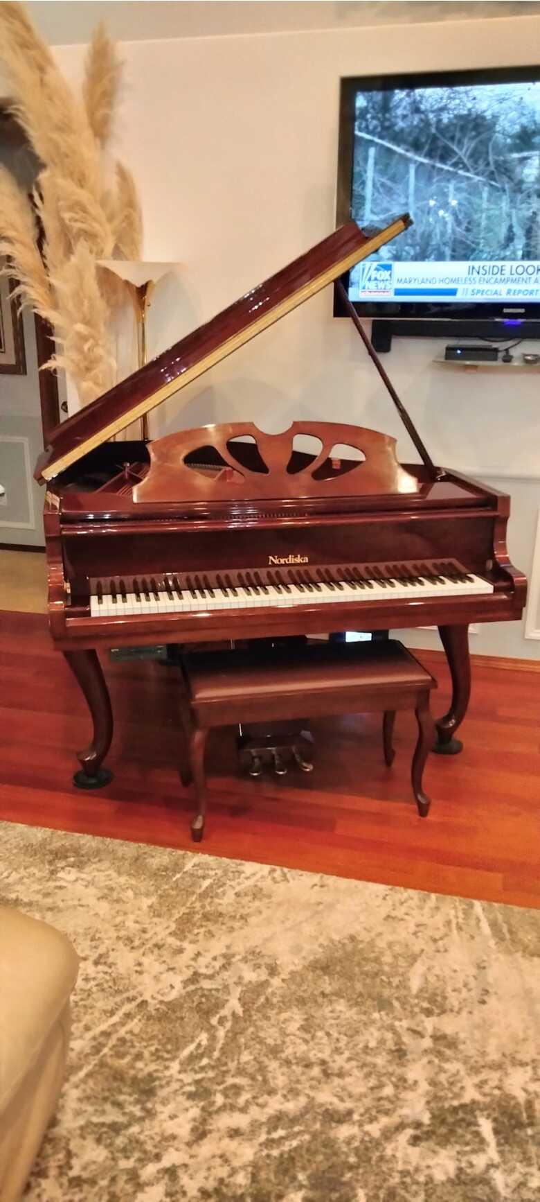 5.0 Grand Player Piano with QRS System
