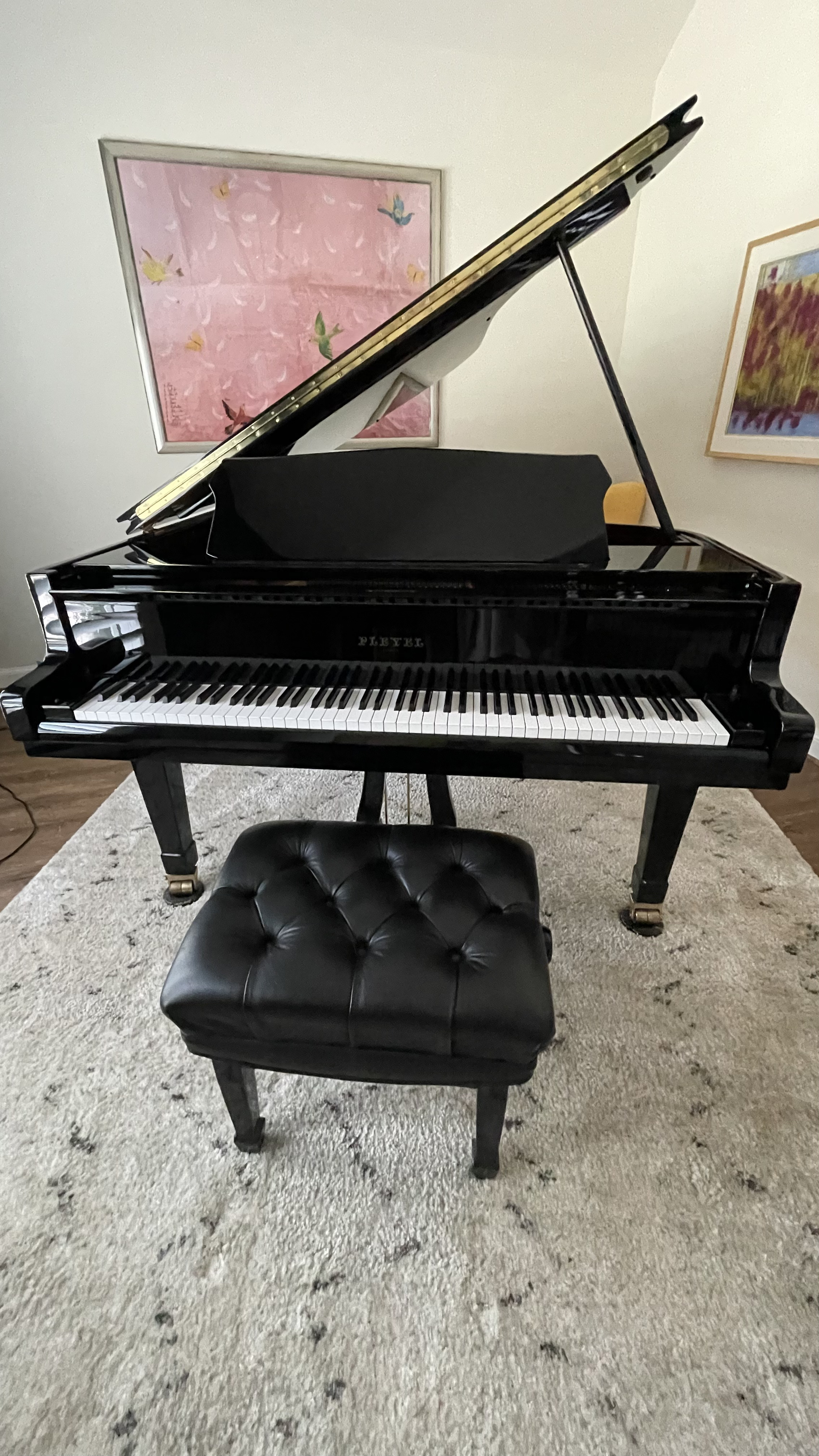 Georgeous Grand Piano for sale. Less than half its value!