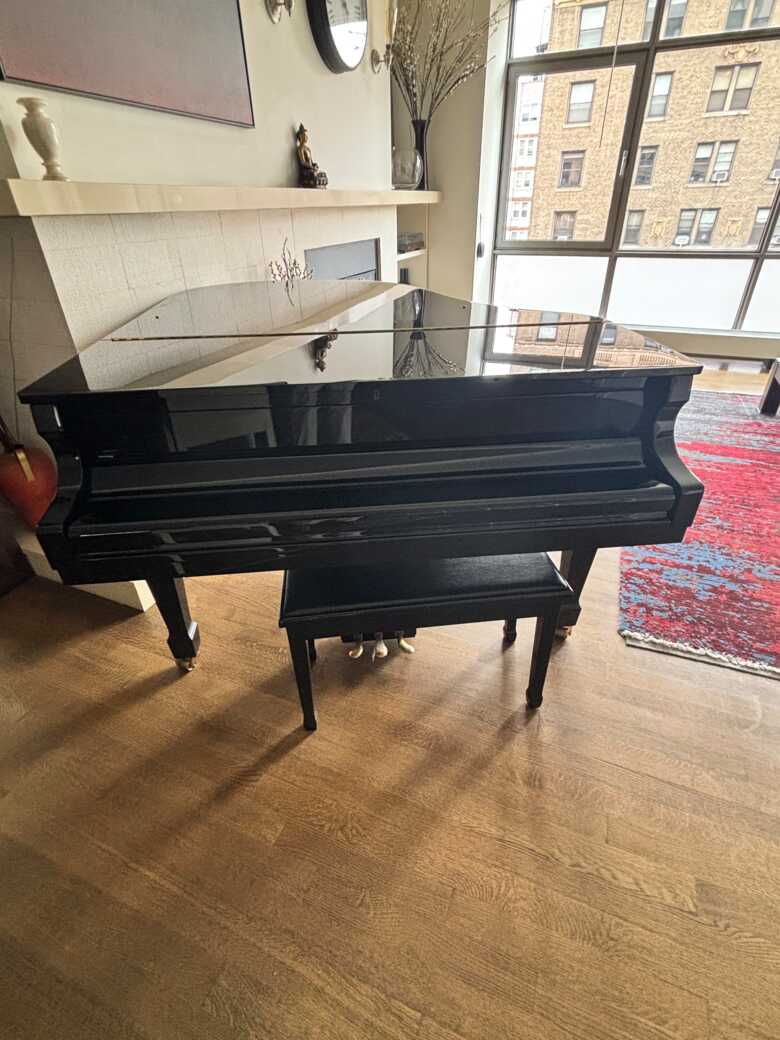 Beautiful Pramberger LG-175 5'9" grand piano 