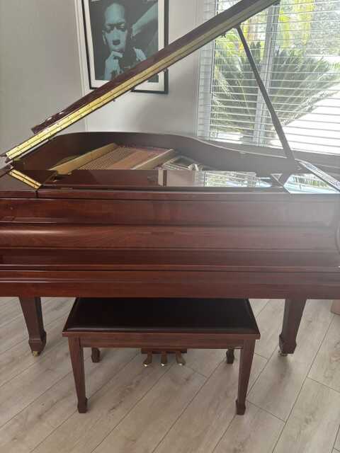 Stienway and Sons Essex Baby Grand Piano