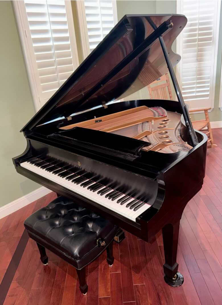 Steinway & Sons Model M Grand Piano-Ebony Satin
