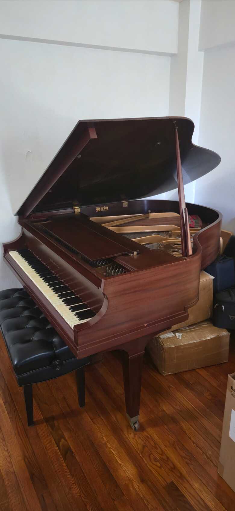 Baldwin Model M Baby Grand (Reconditioned)