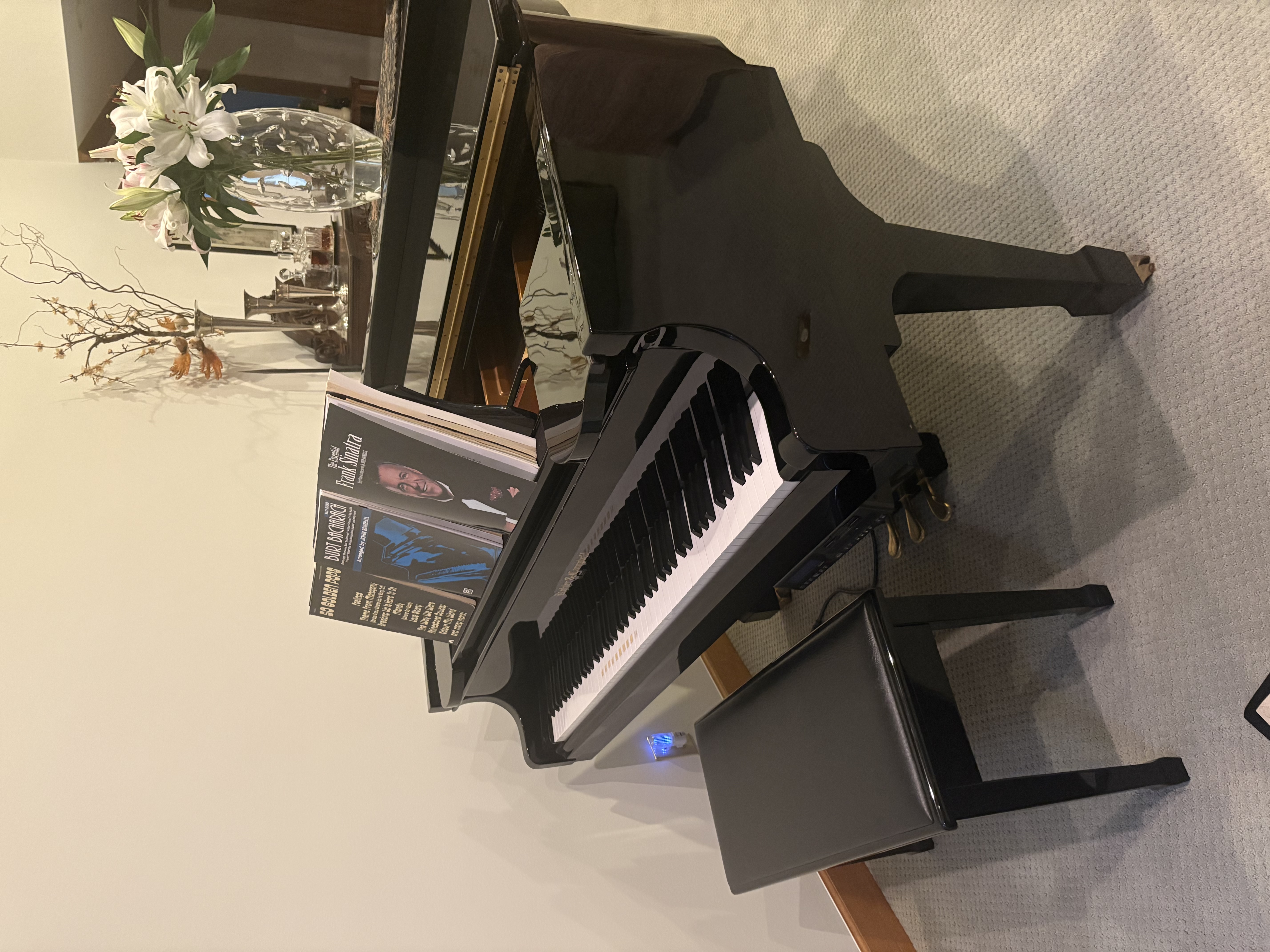 Polished Ebony Kohler and Campbell KCG600