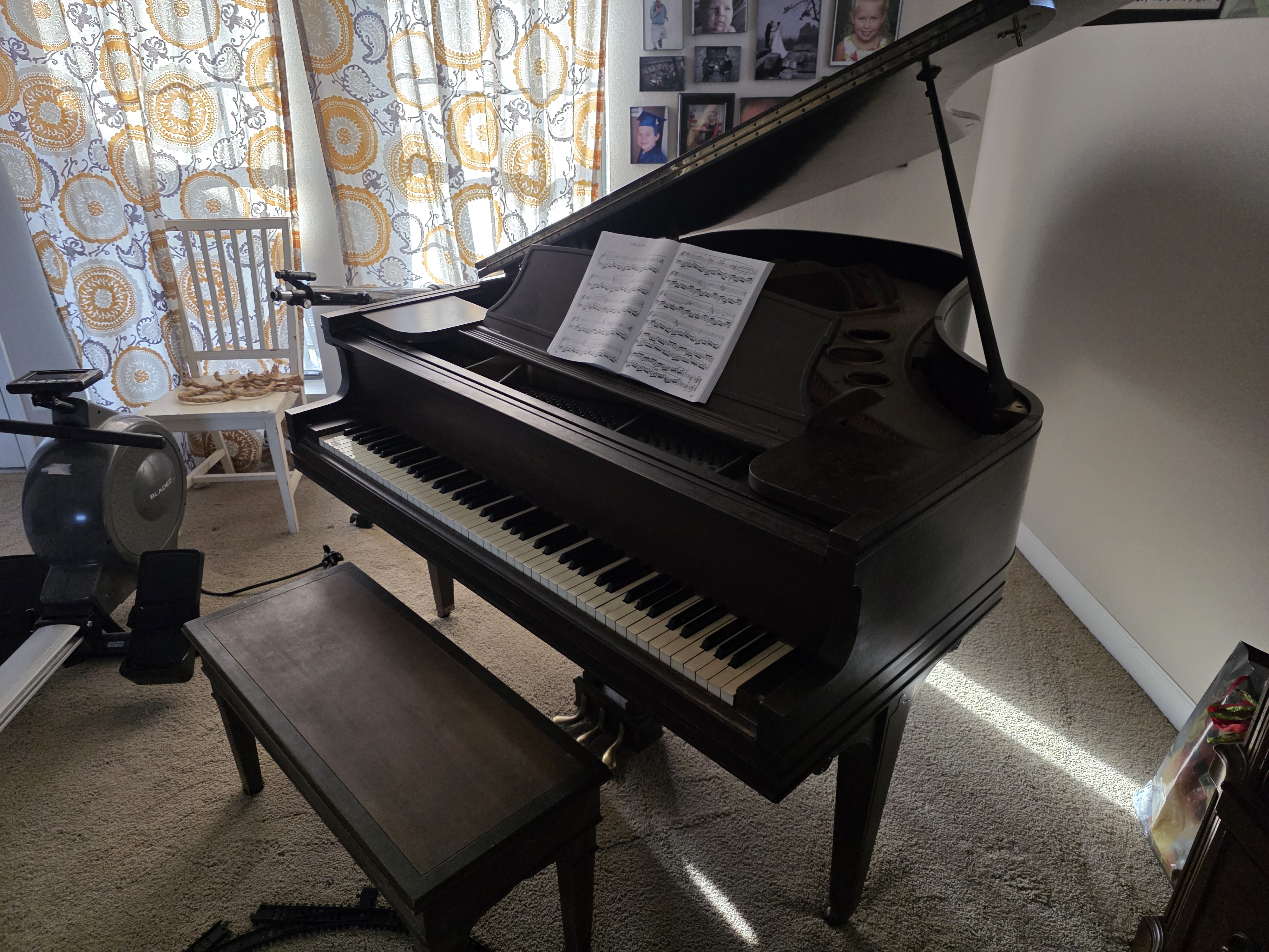 Pristine 1920 George Steck Grand Piano