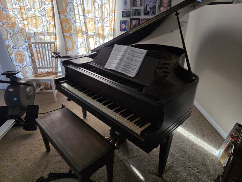 Pristine 1920 George Steck Grand Piano