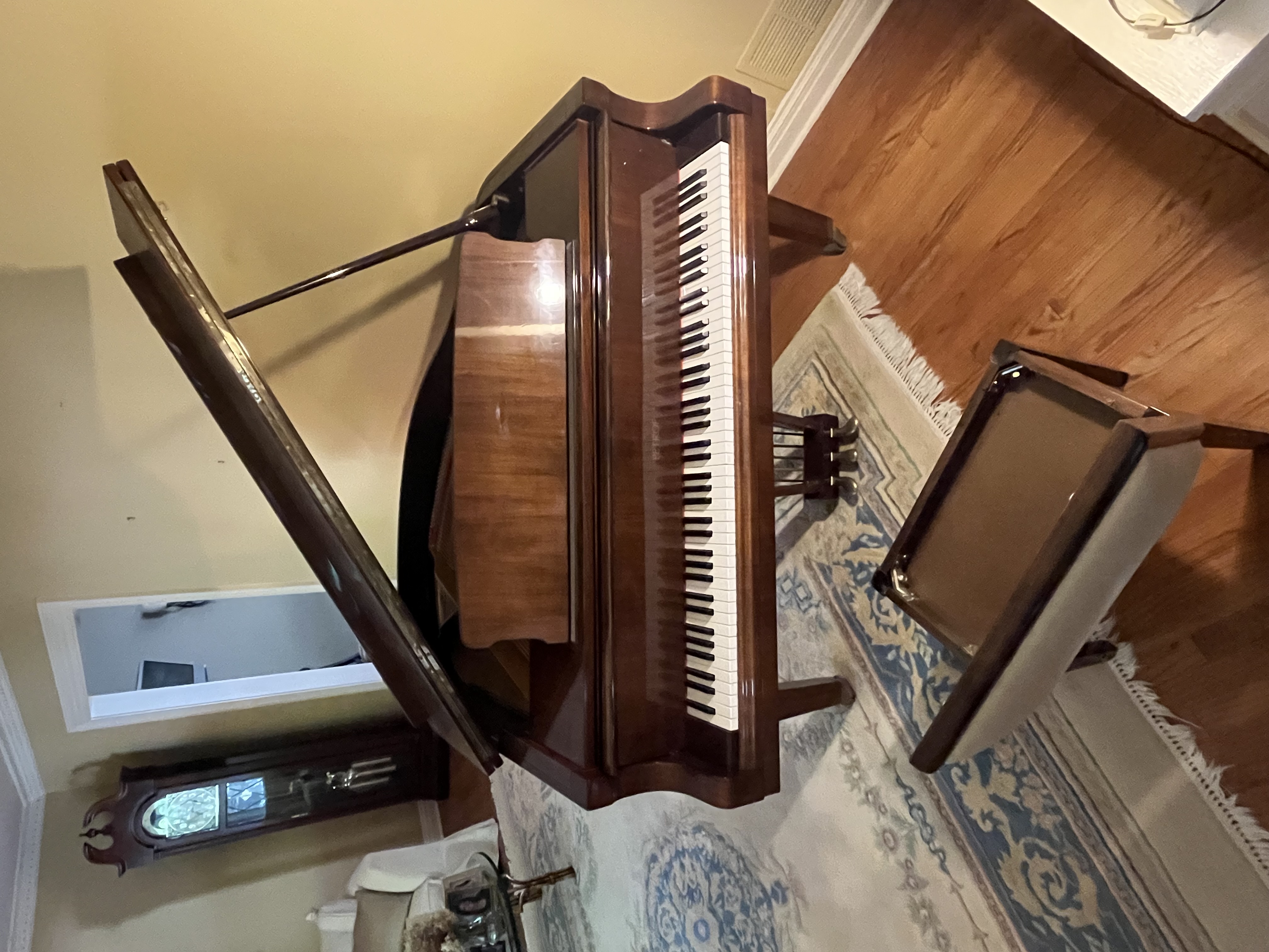 Immaculate Petrov Grand Piano
