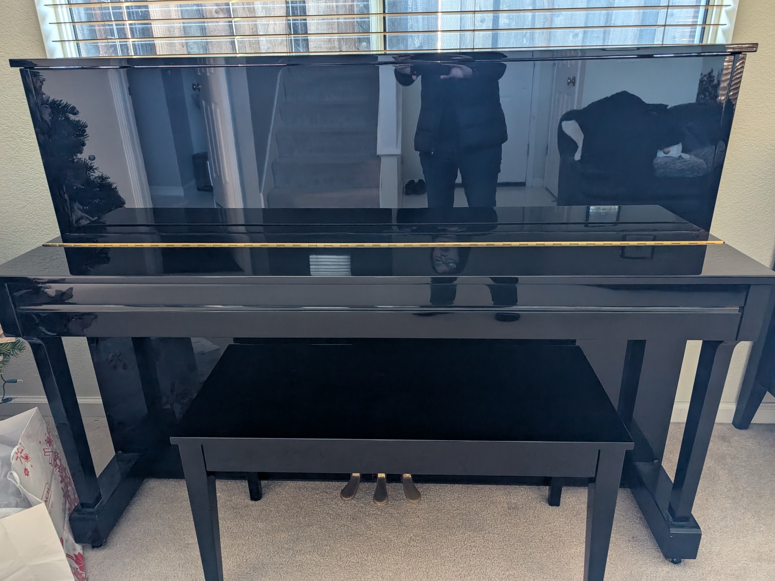 Cable‑Nelson CN116 Upright Piano + Bench 