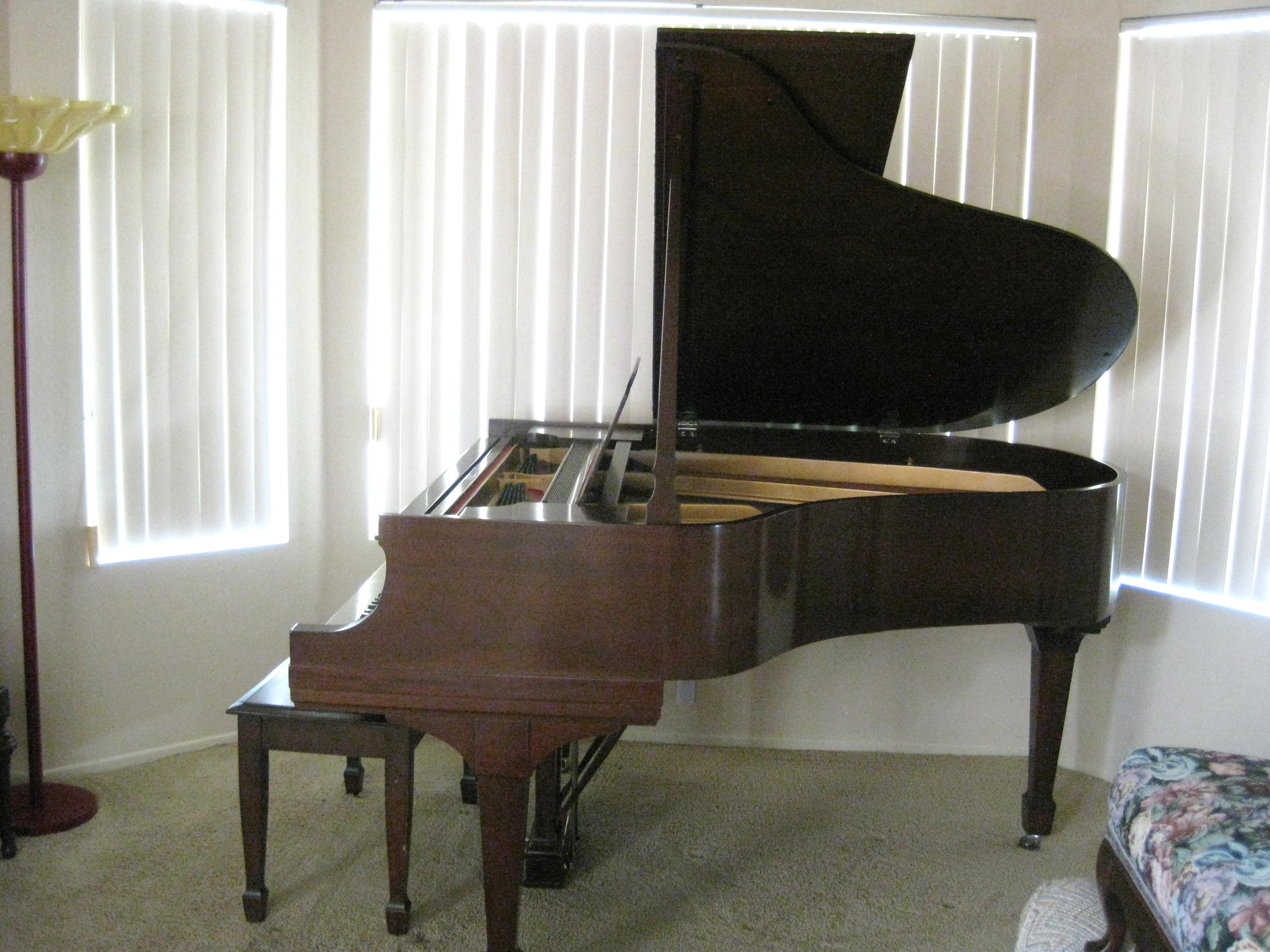 Family Owned 4 generations Steinway M