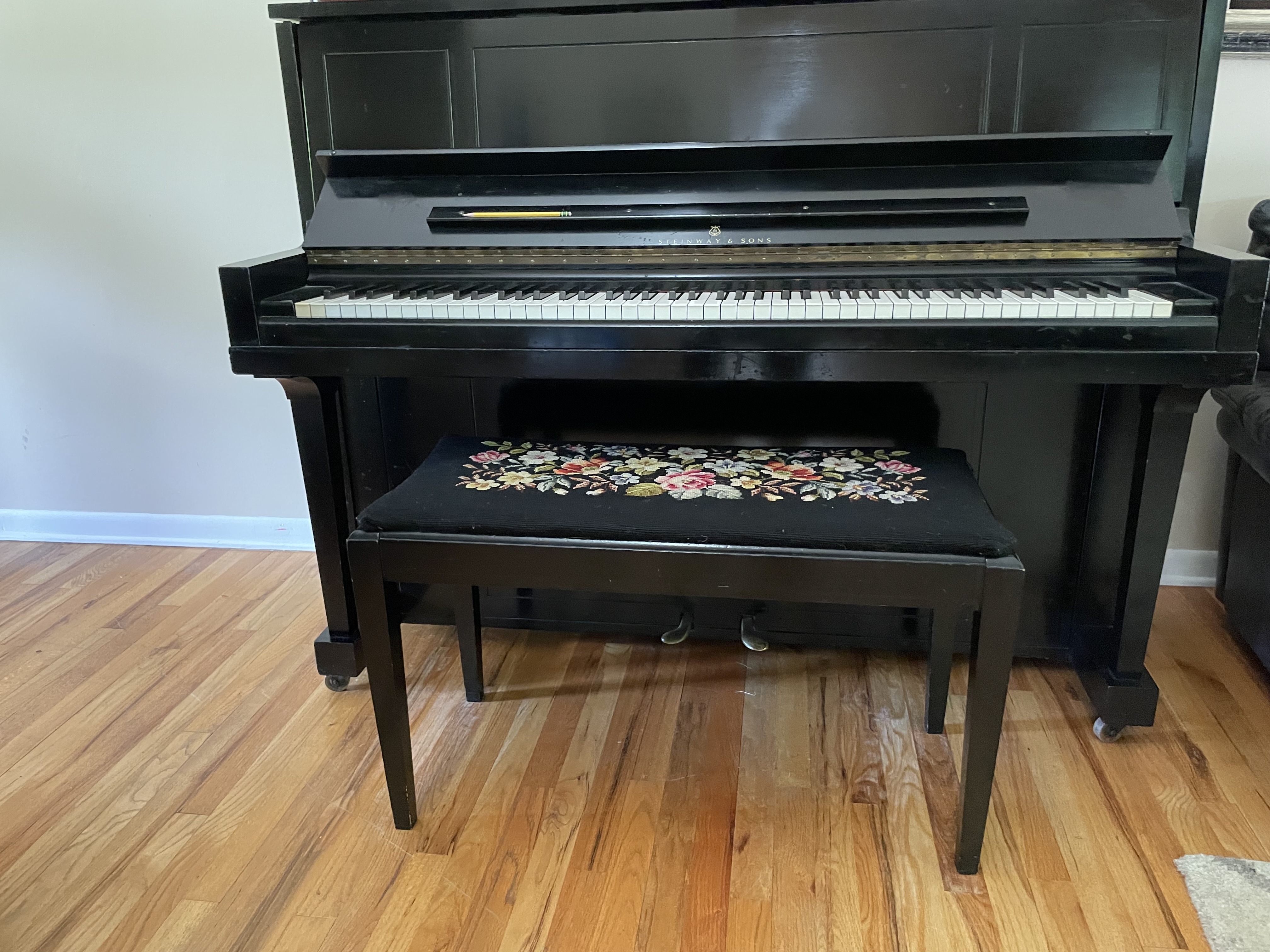 Steinway Professional