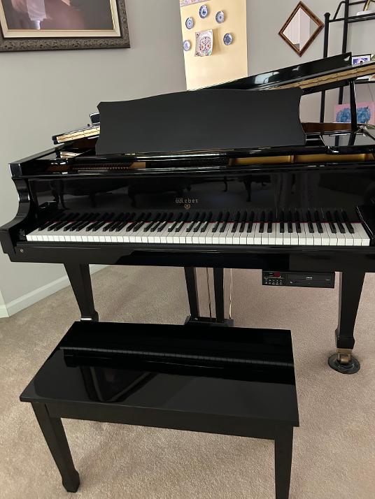 WEBER Baby Grand with QRS Pianomation