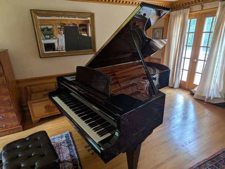 1986 Bosendorfer 225 Semi-Concert Grand (7'4") 