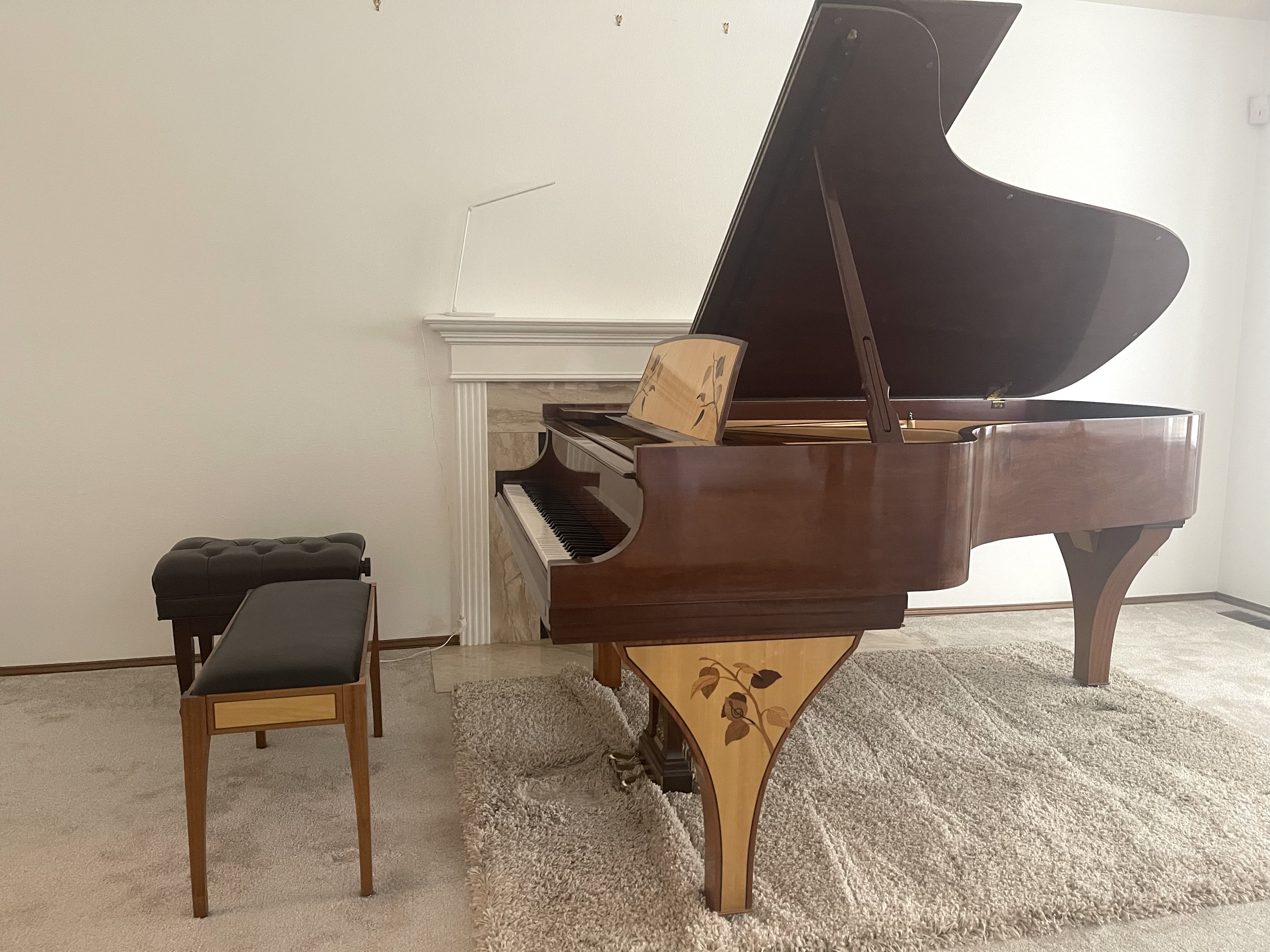 Steinway Model B – Aspen 50th Anniversary