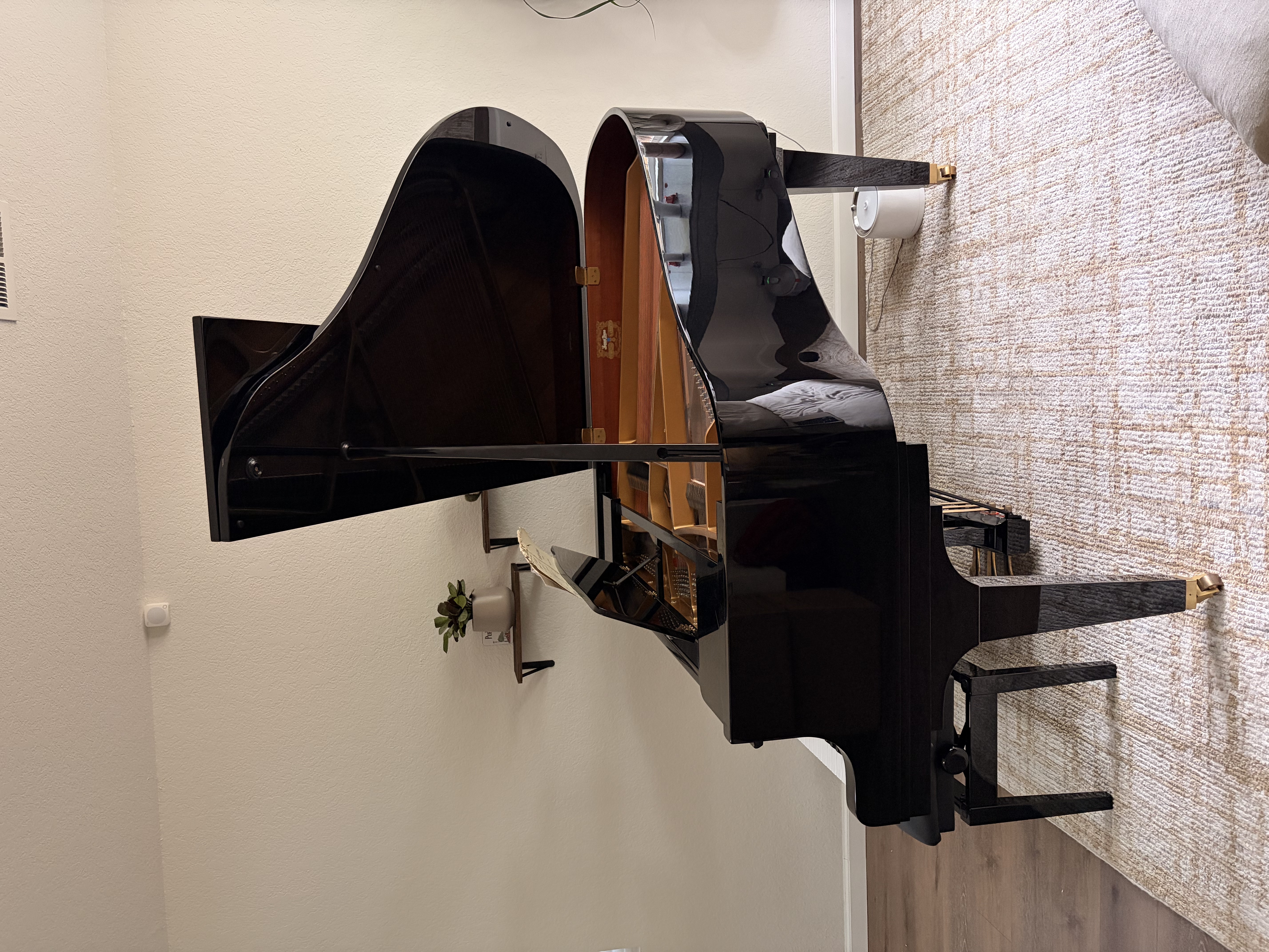2012 Kawai Grand Piano GM-10K Black