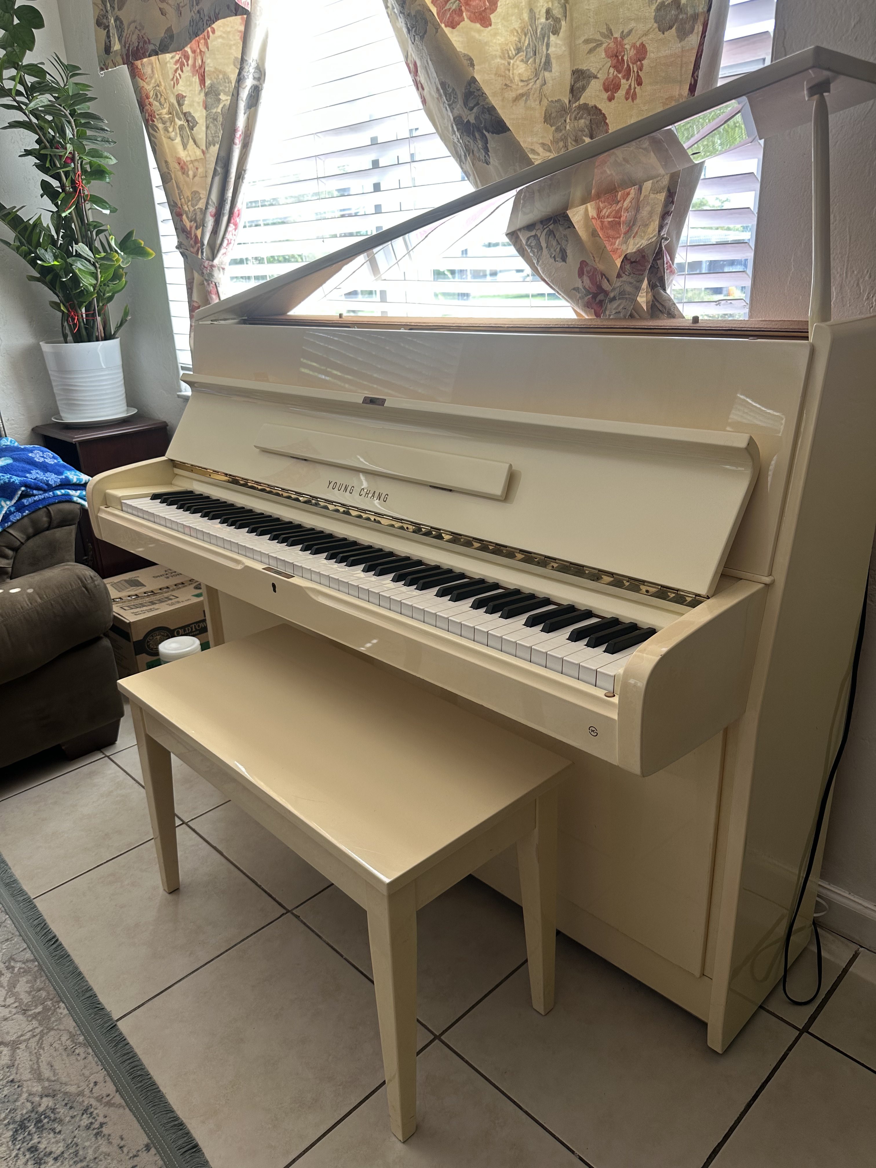 Young Chang U-107 ivory piano in great condition