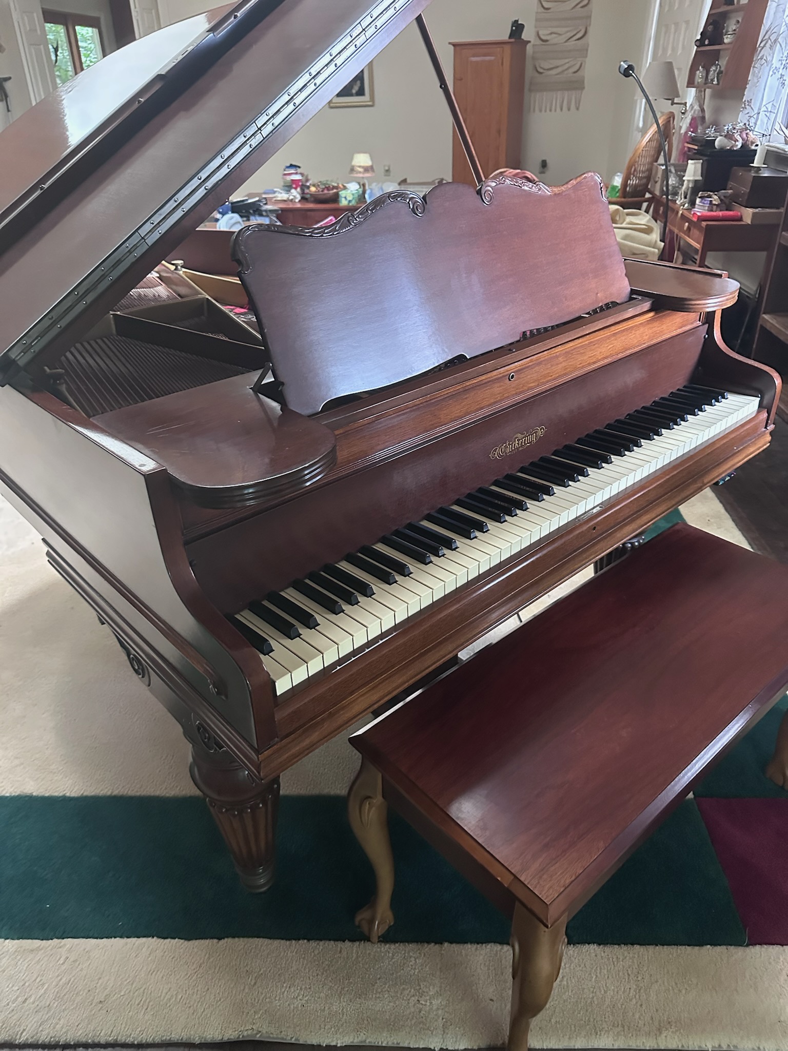Restored 1902 Chickering & Sons Scale 121 Grand Piano